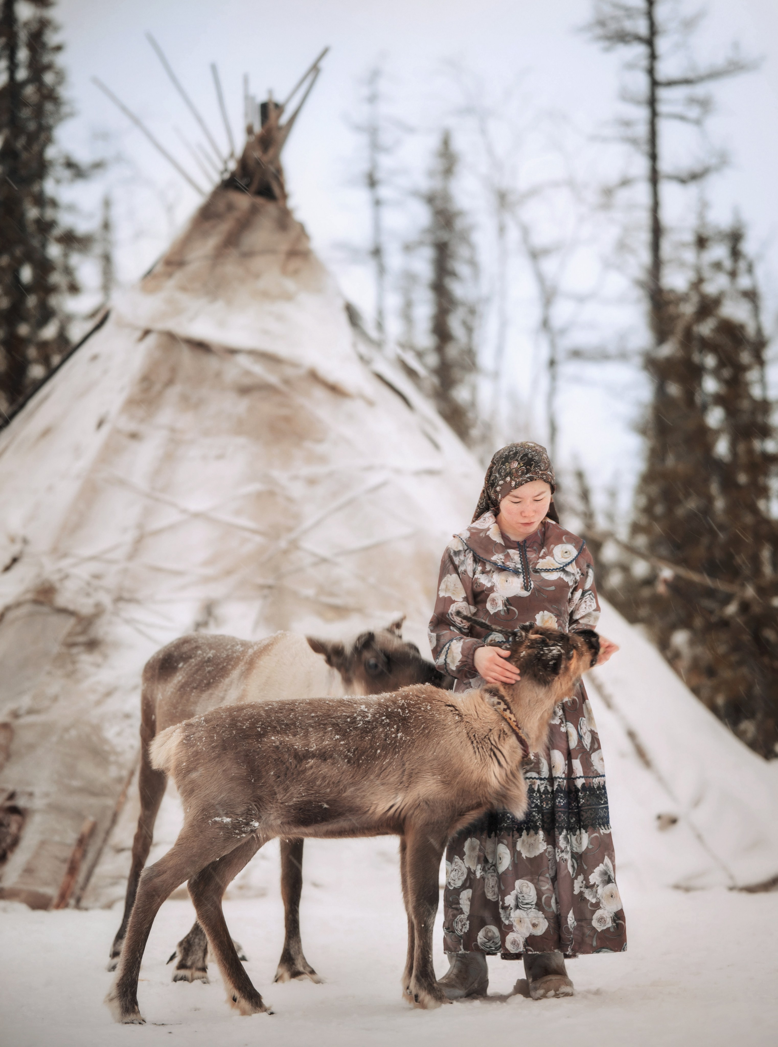 Ямал. Детский и семейный фотограф