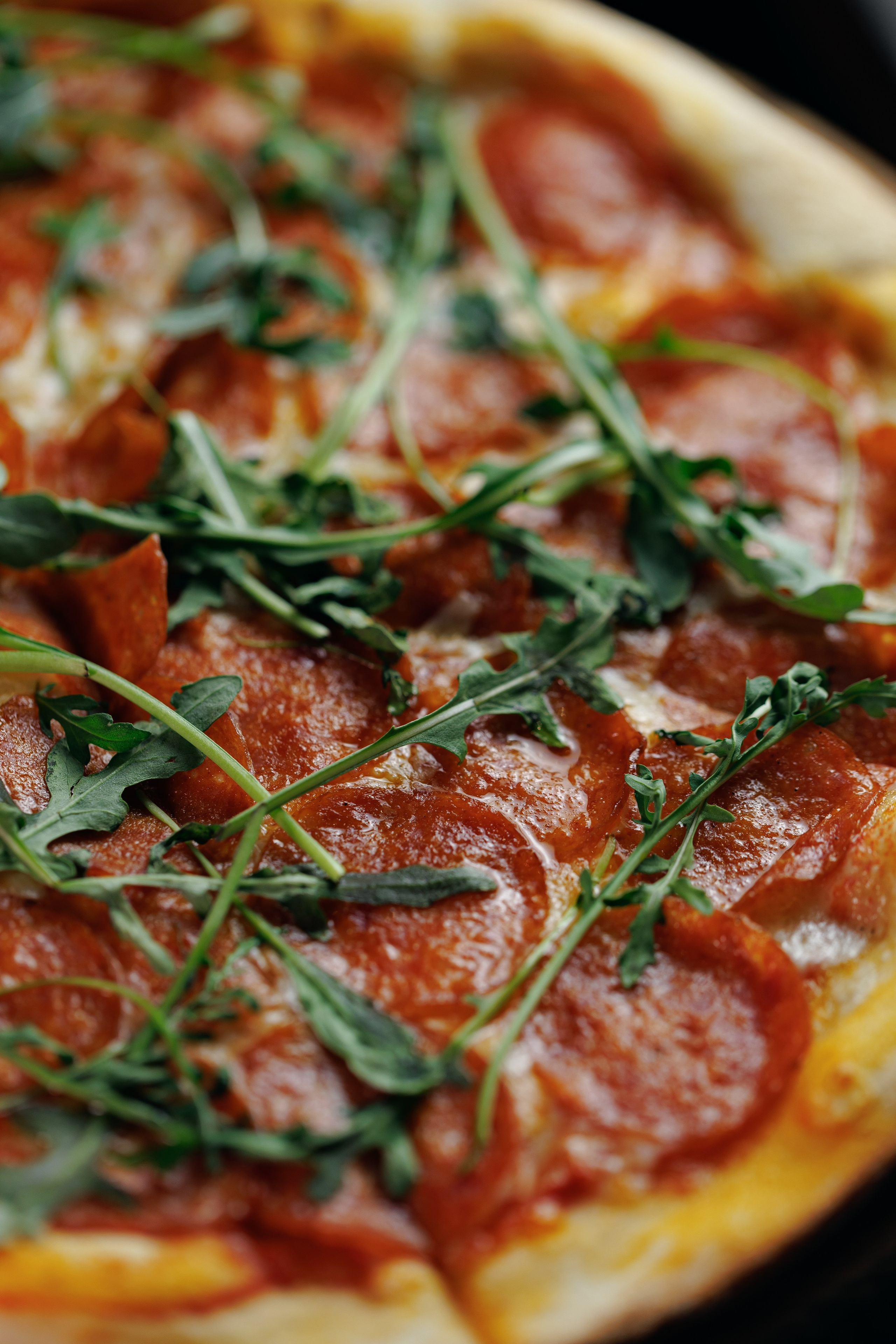 Siberia Lounge & Bar