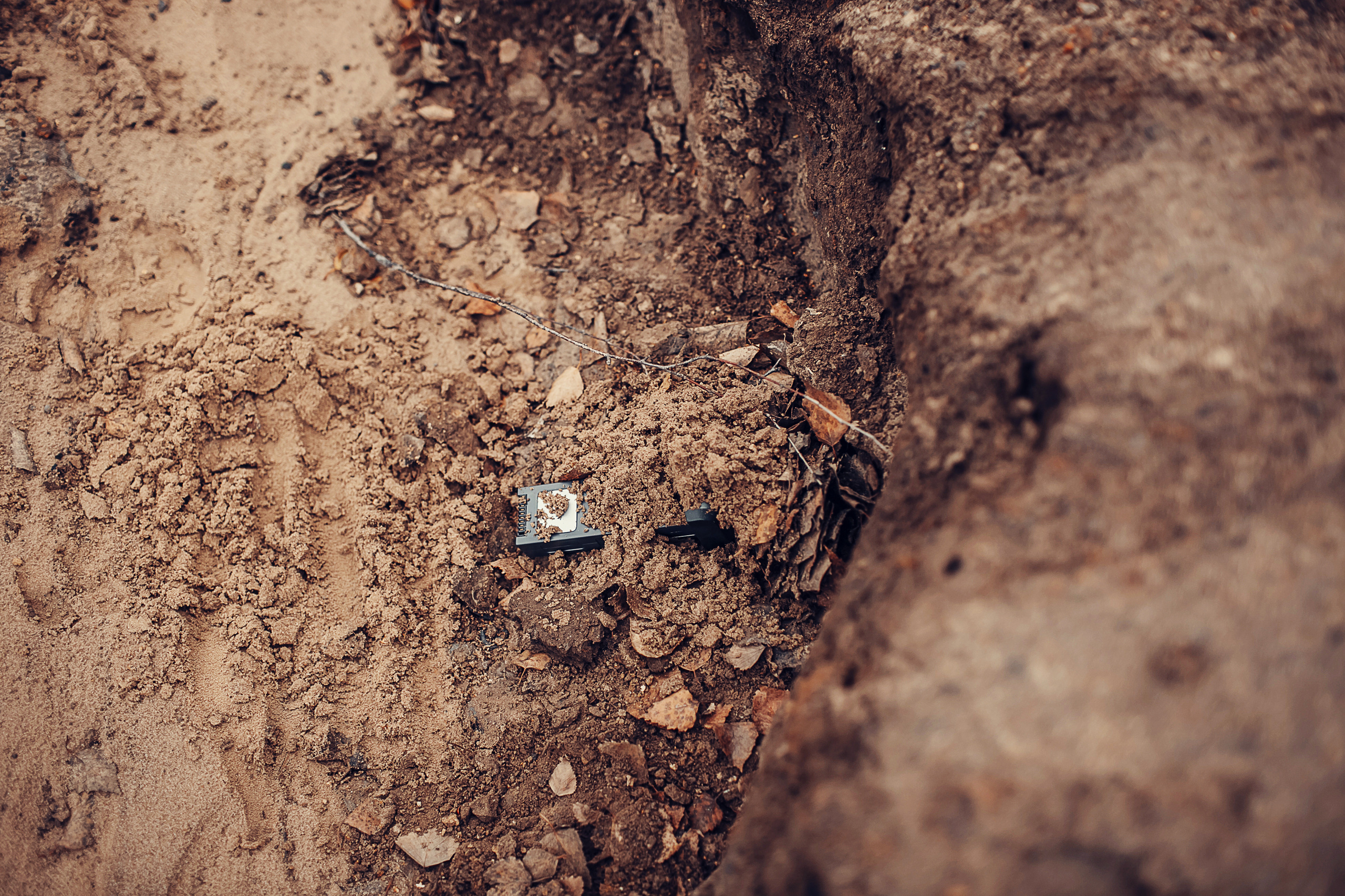 MAD MAX. Детский и семейный фотограф в Москве Анна Ипатьева