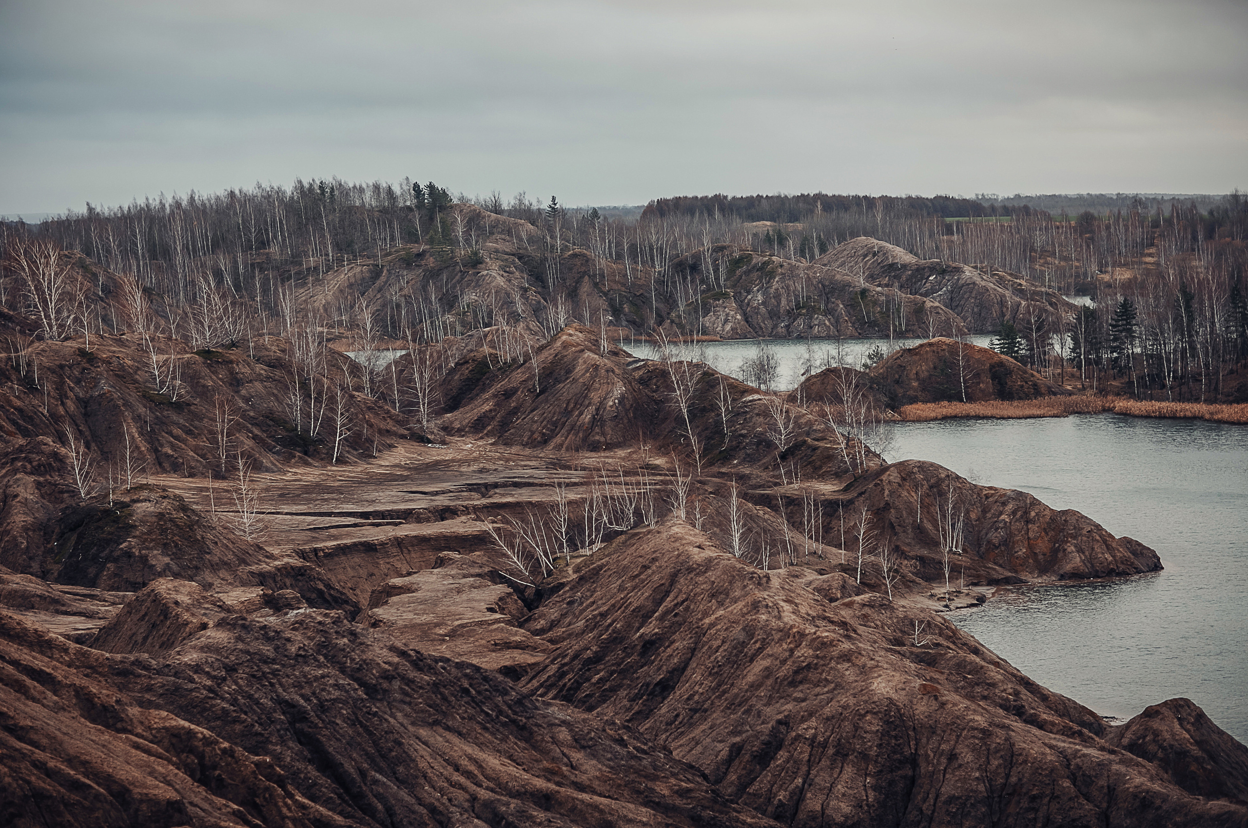 MAD MAX. Детский и семейный фотограф в Москве Анна Ипатьева