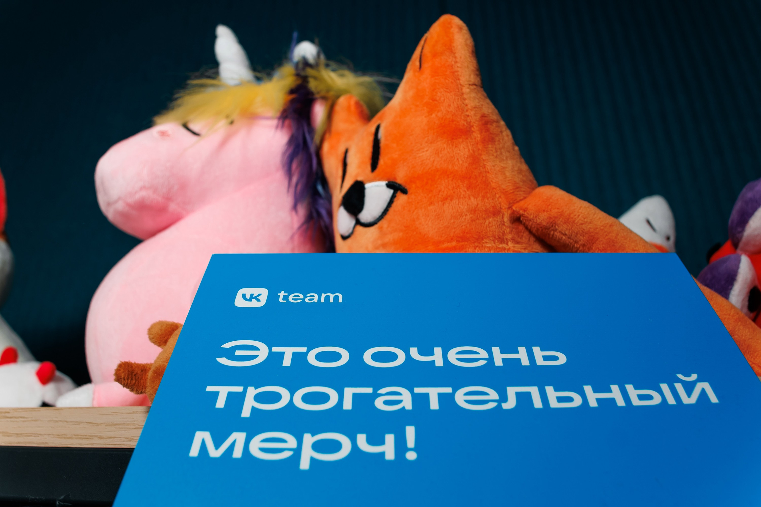 IT Выходные ВК. Репортажный фотограф. Москва. Алина Ланская