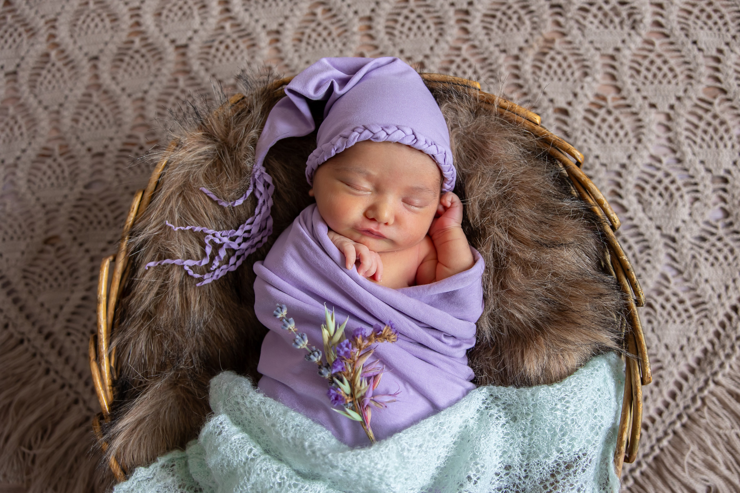 Кира лаванда. Оксана Ромашкина- семейный и ньюборн фотограф из Москвы