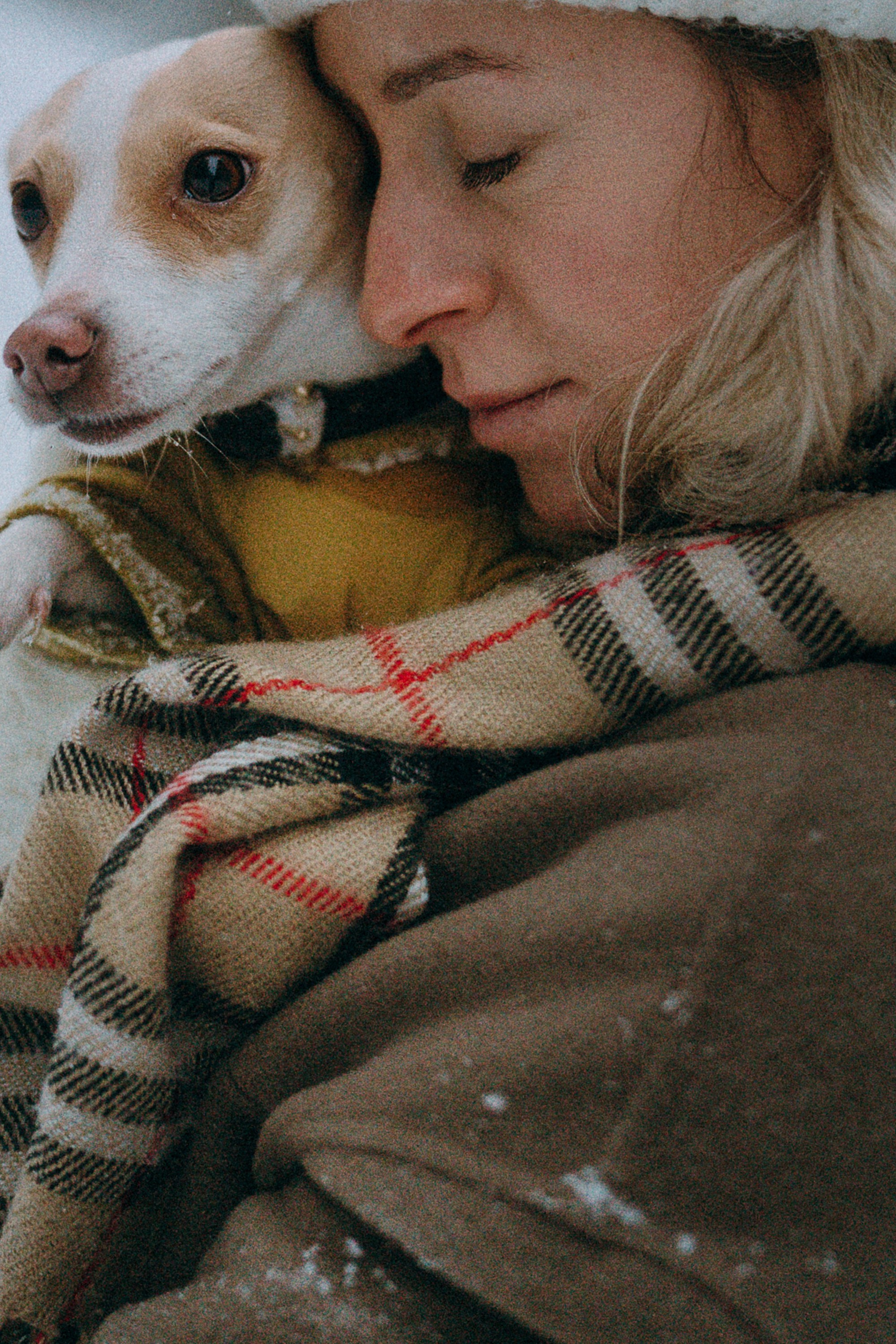 Алина, Ваниль и Элис. Фотограф анималист в Москве и Санкт-Петербурге Свиридова Анна