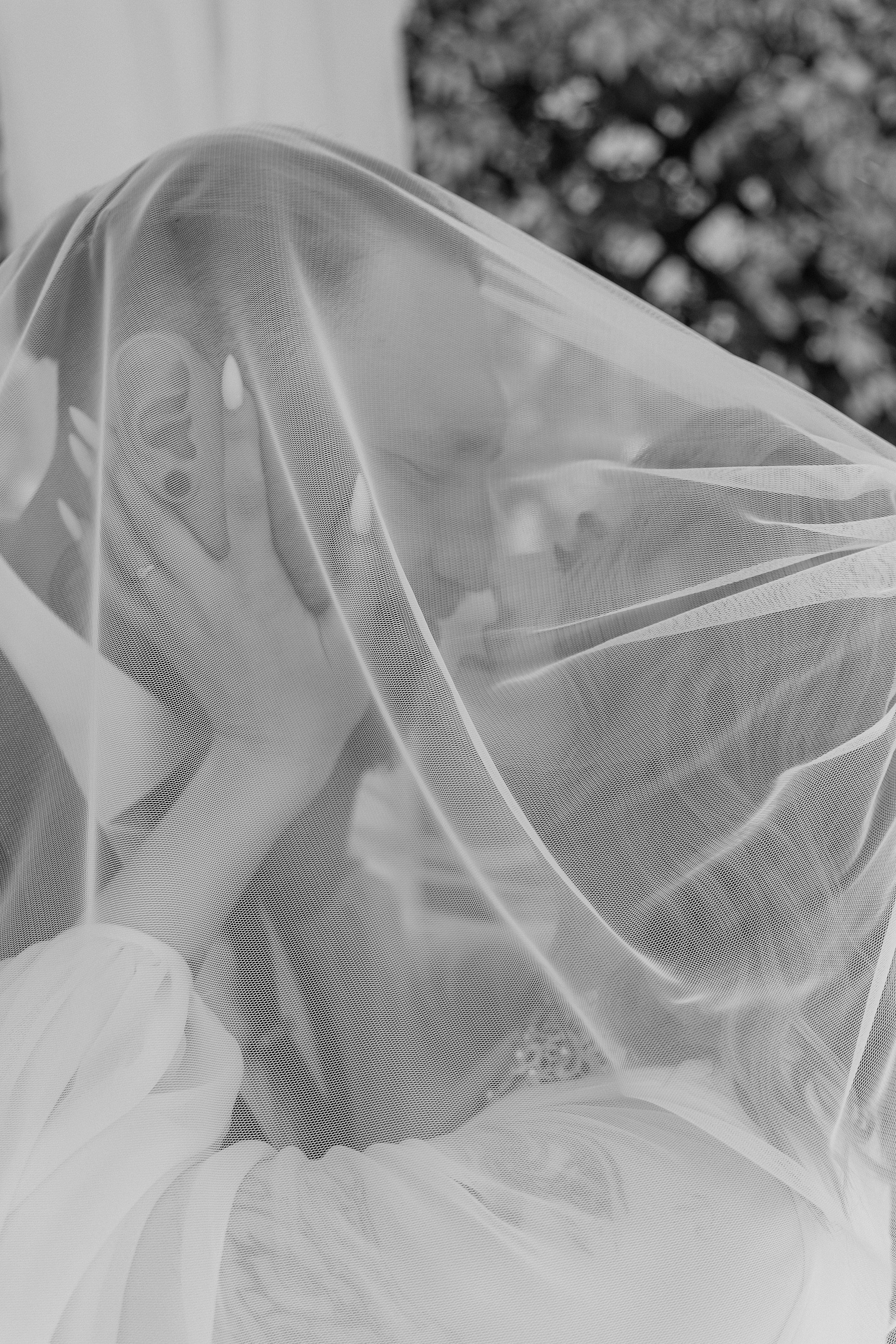 Карина и Михаил. Фотограф Юлия Мальцева