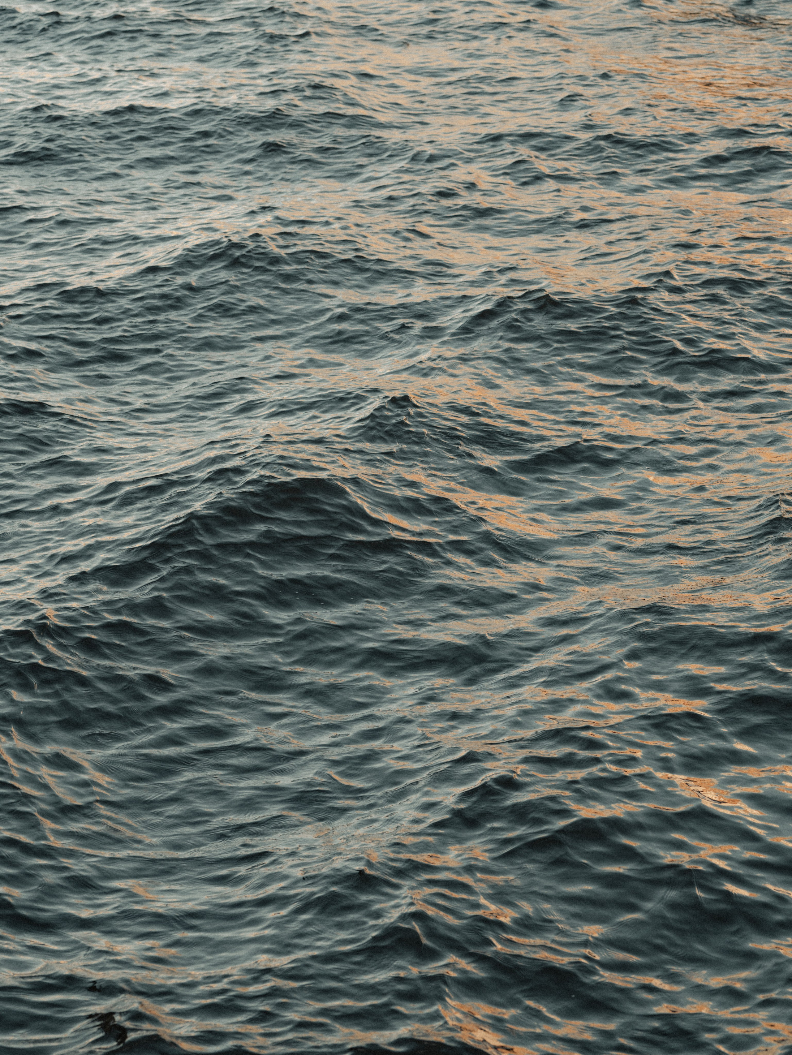 На неделю в Петербург. Фотограф Ника Лиепа