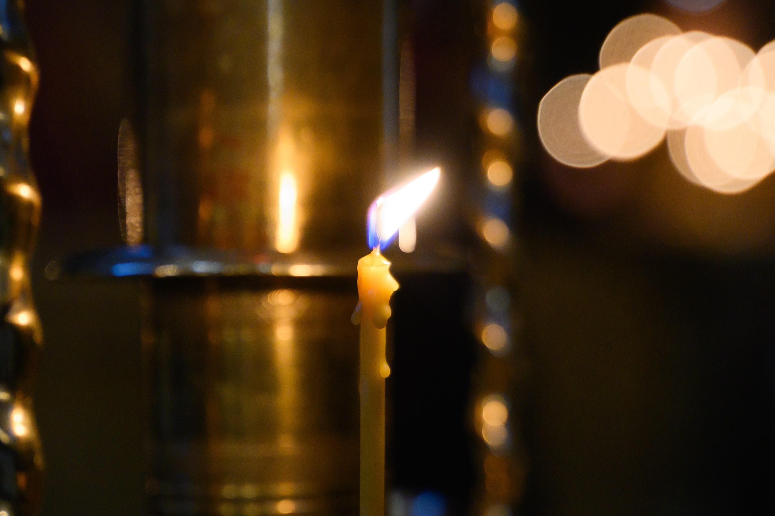 Троице-Сергиева Лавра 9.03.2025