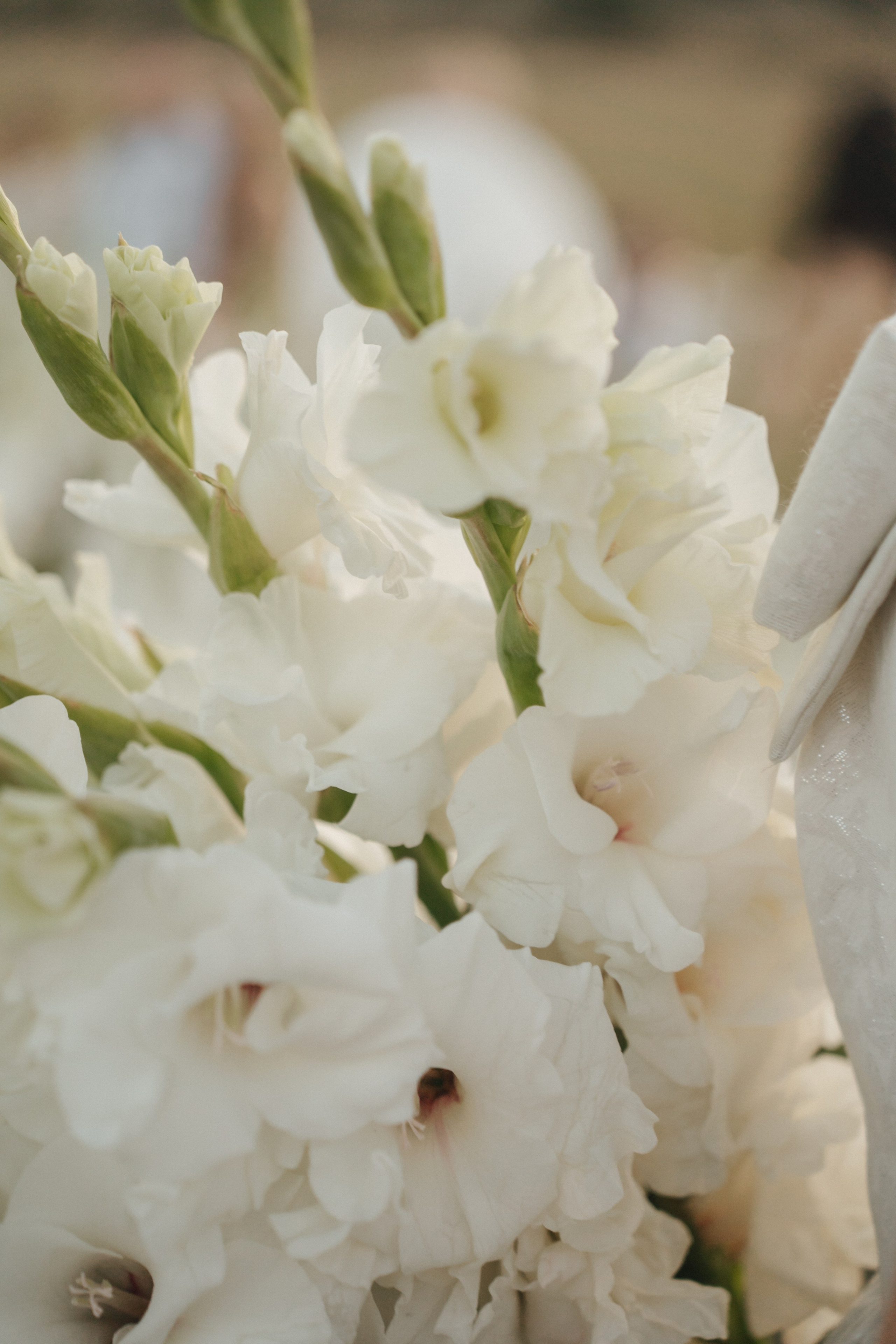 Свадебная фотосессия Москва Крым. Свадебный и семейный фотограф и видеограф, Крым, Москва, Санкт -Петербург