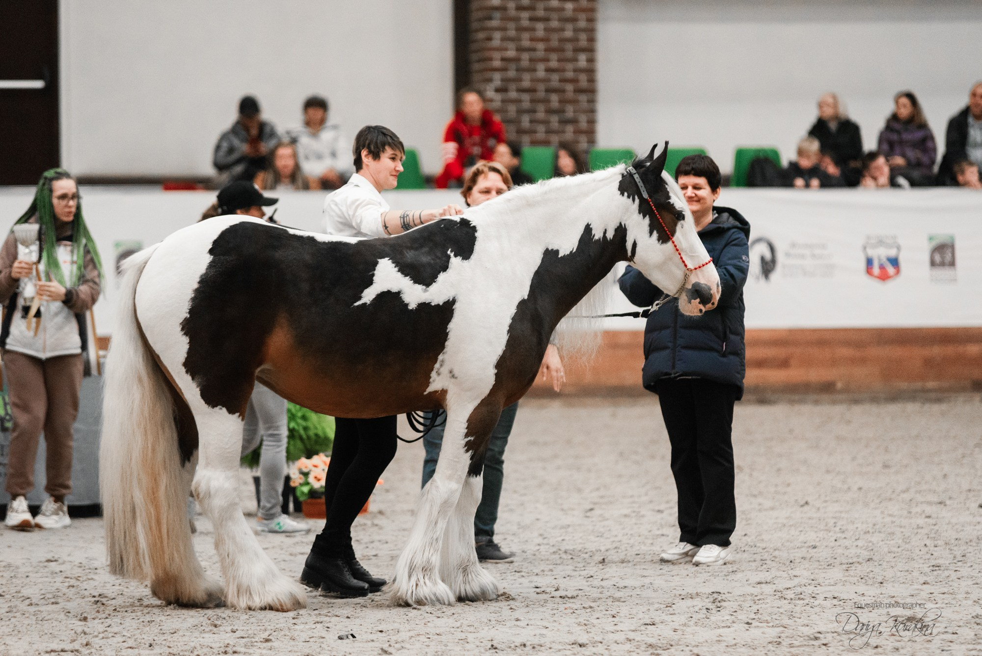 8-я международная выставка Конная Россия. Конный фотограф Куракина Дарья • Фотосессии с лошадьми