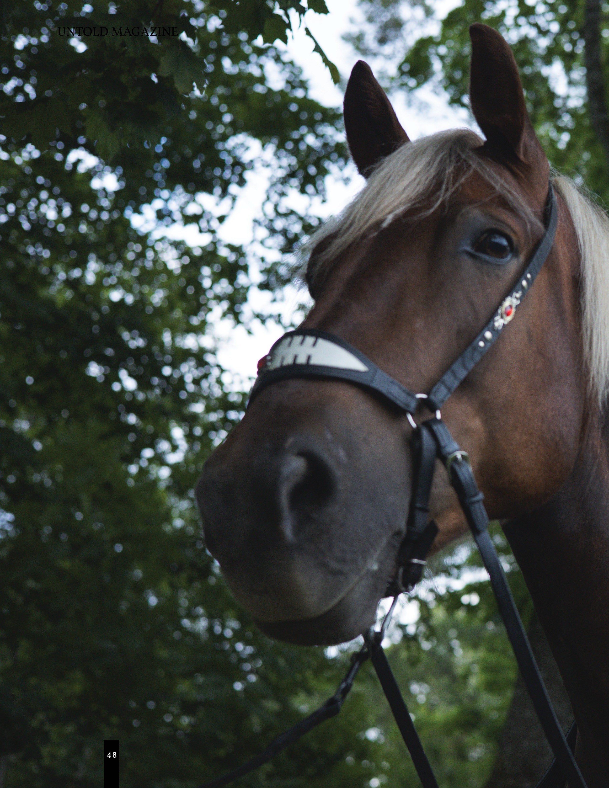 Размещение в журналах. Фотограф в Санкт-Петербурге Вагнер Юлия