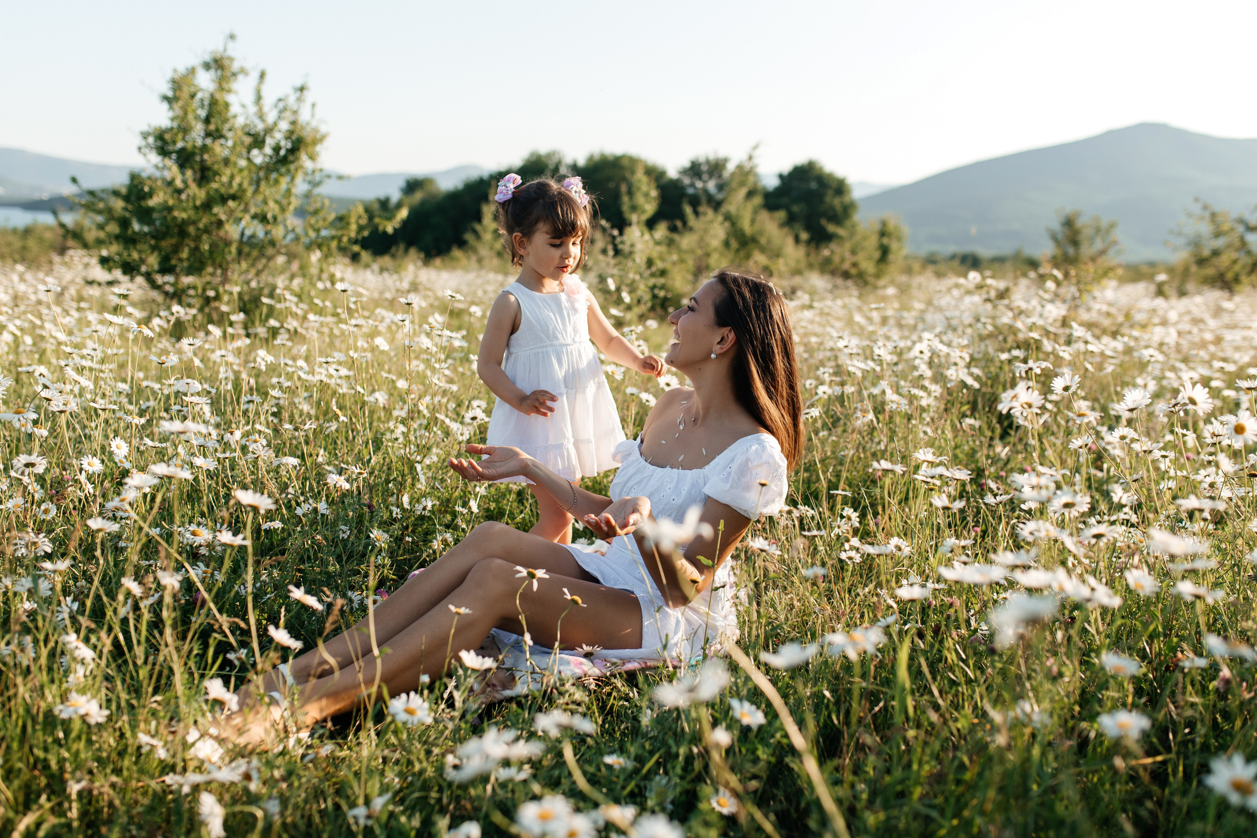 Daisies. ФОТОГРАФ