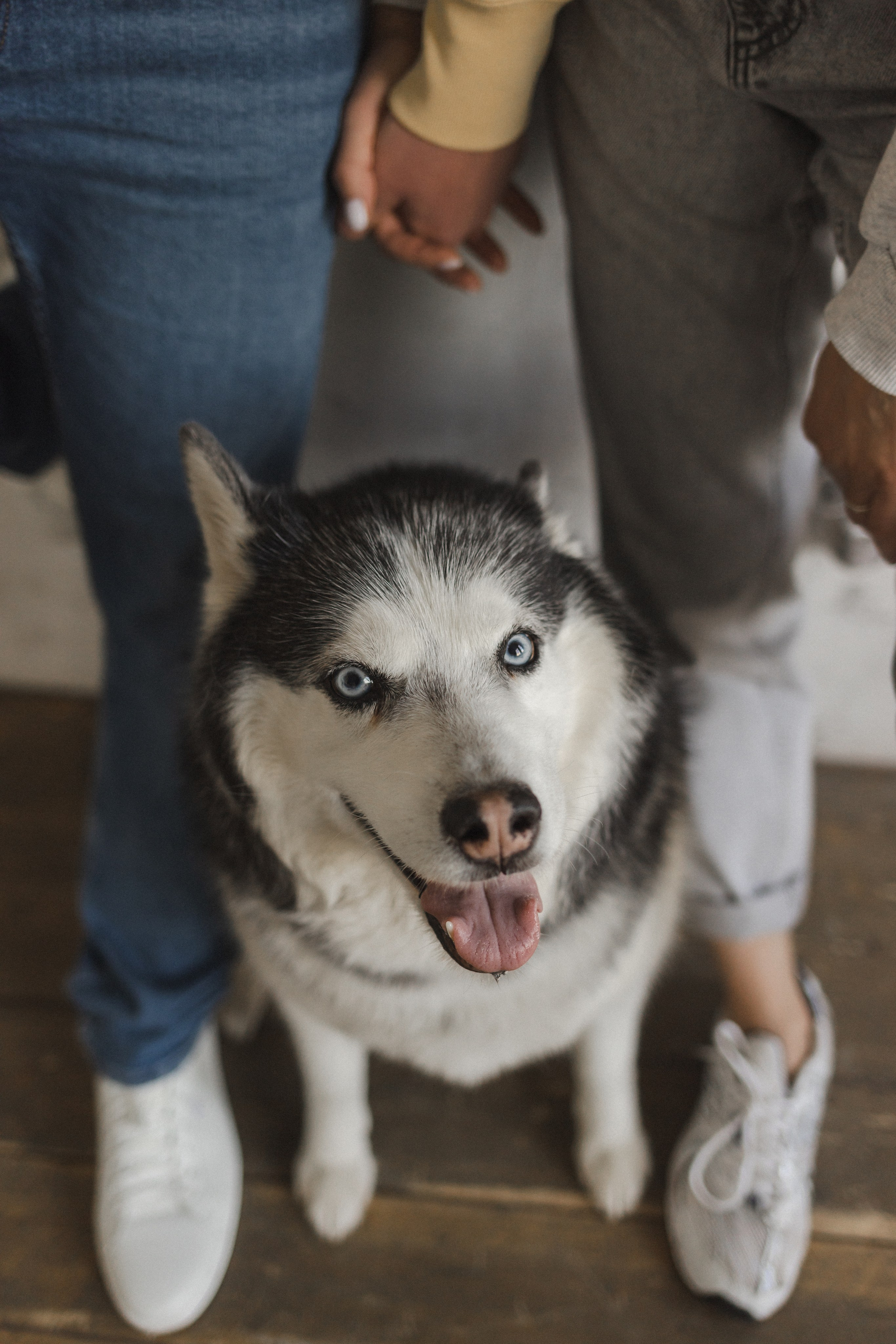 История семьи. Семейный фотограф в Москве