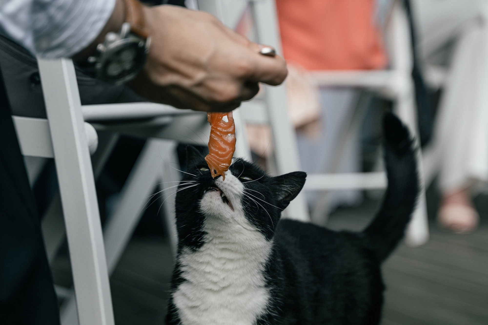 Свадьба в Пихте. Свадебный Фотограф Казань Челны