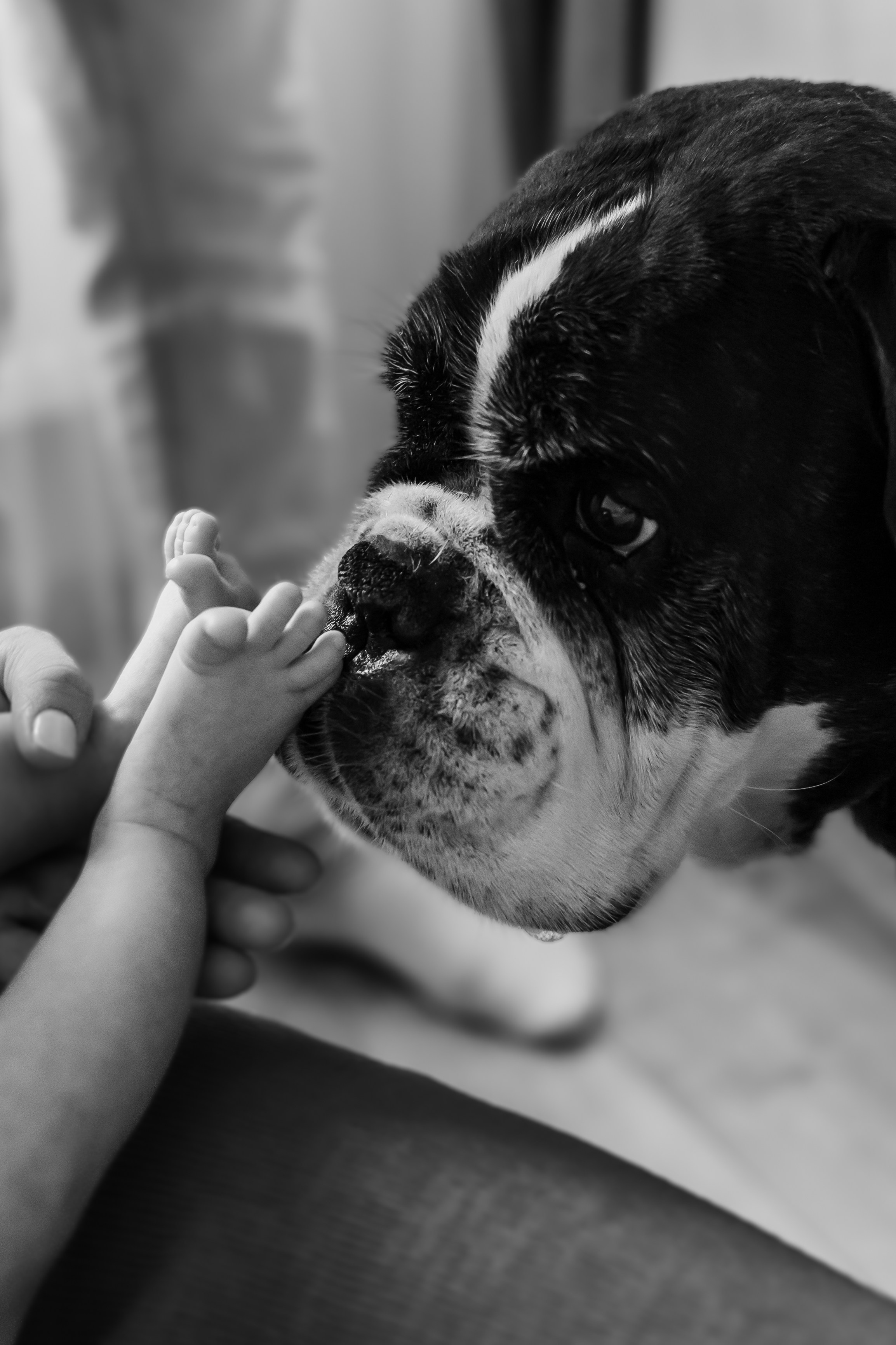 Счастье. ФОТОГРАФ | Сыктывкар