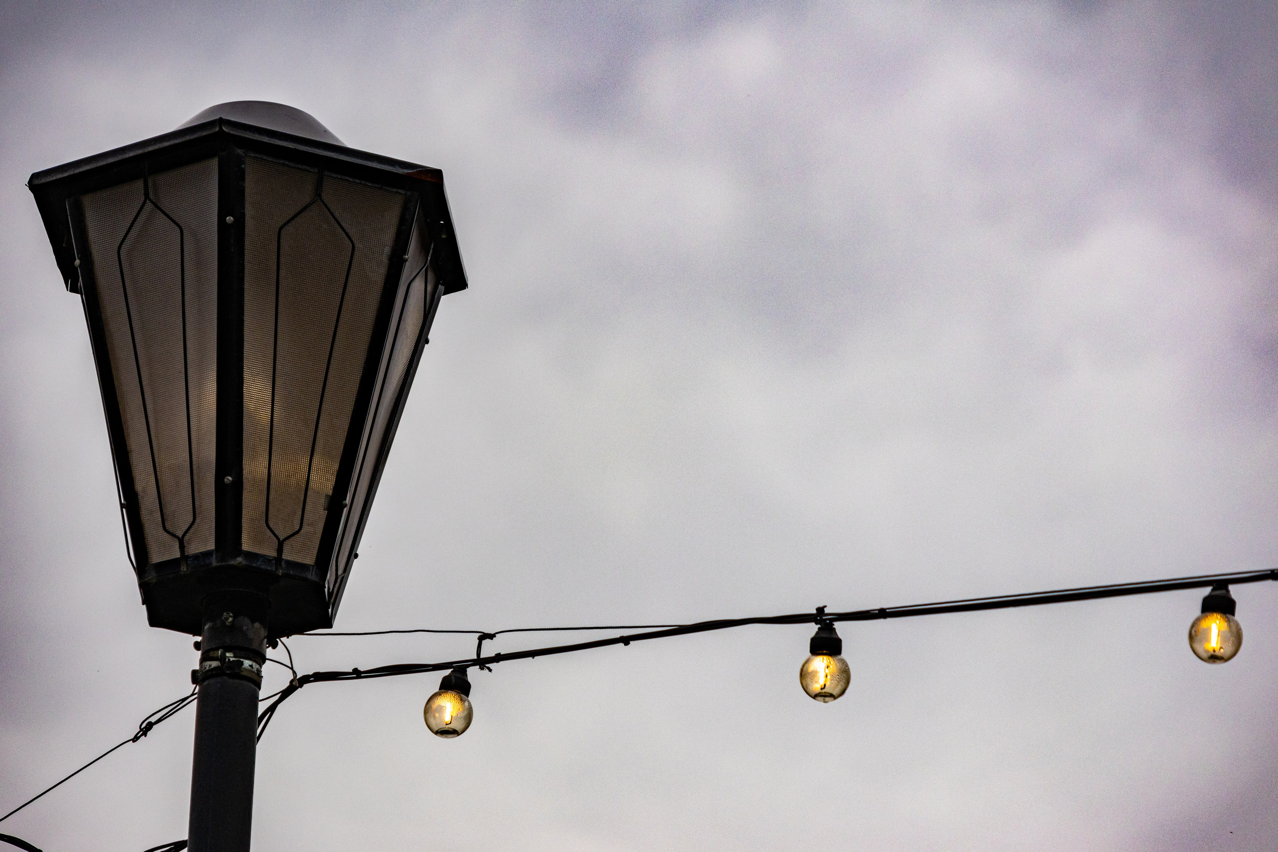 Новосибирск. Jean De Vivre Gallery