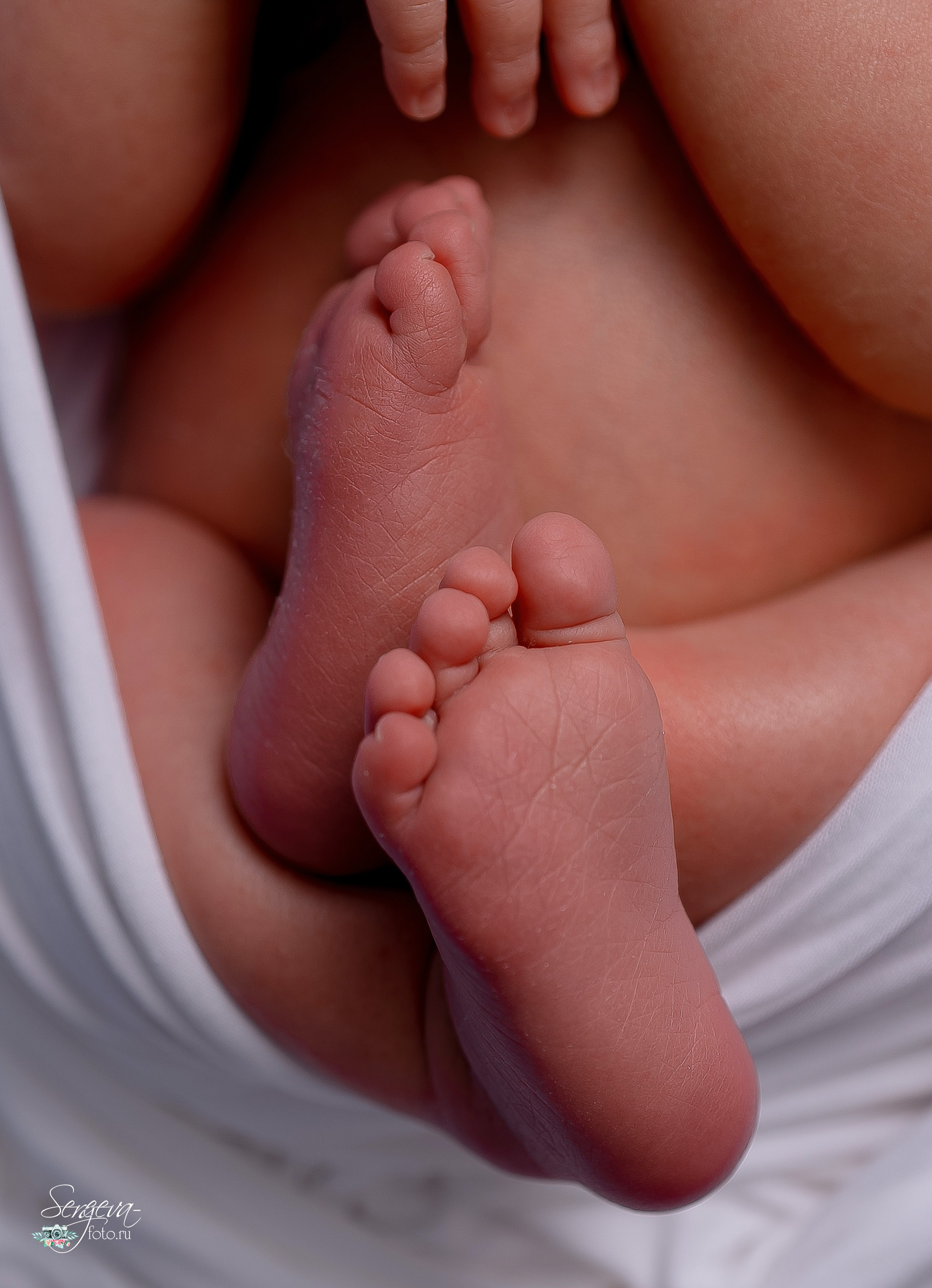 Софья 7 дней. Фотограф новорожденных в Нижнем Новгороде Сергеева Оксана