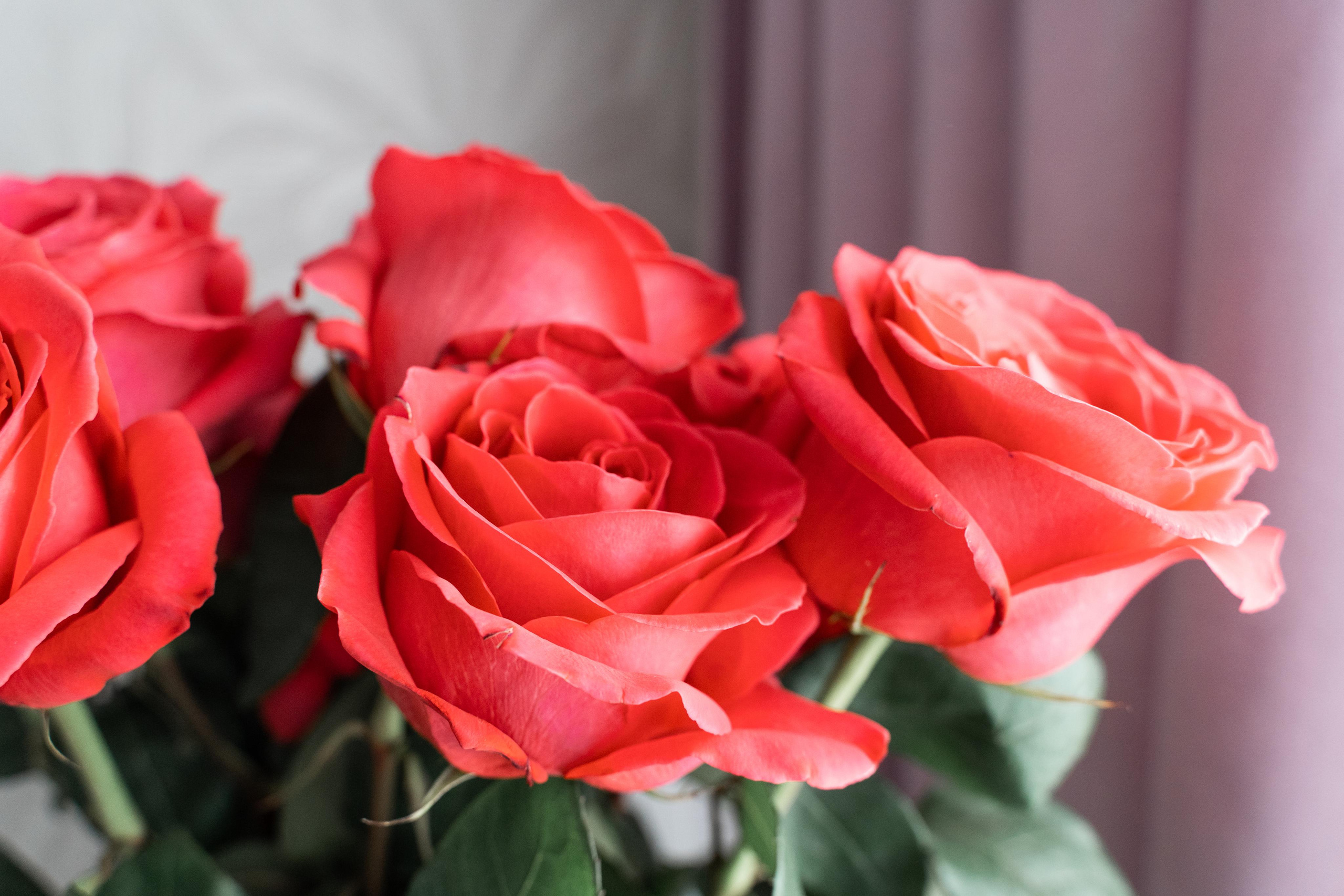 Счастье дома. Выписка. 28/09/2021. Фотографы на роды в Москве. Фото и видео родов. Фотопроект «Продолжение рода»