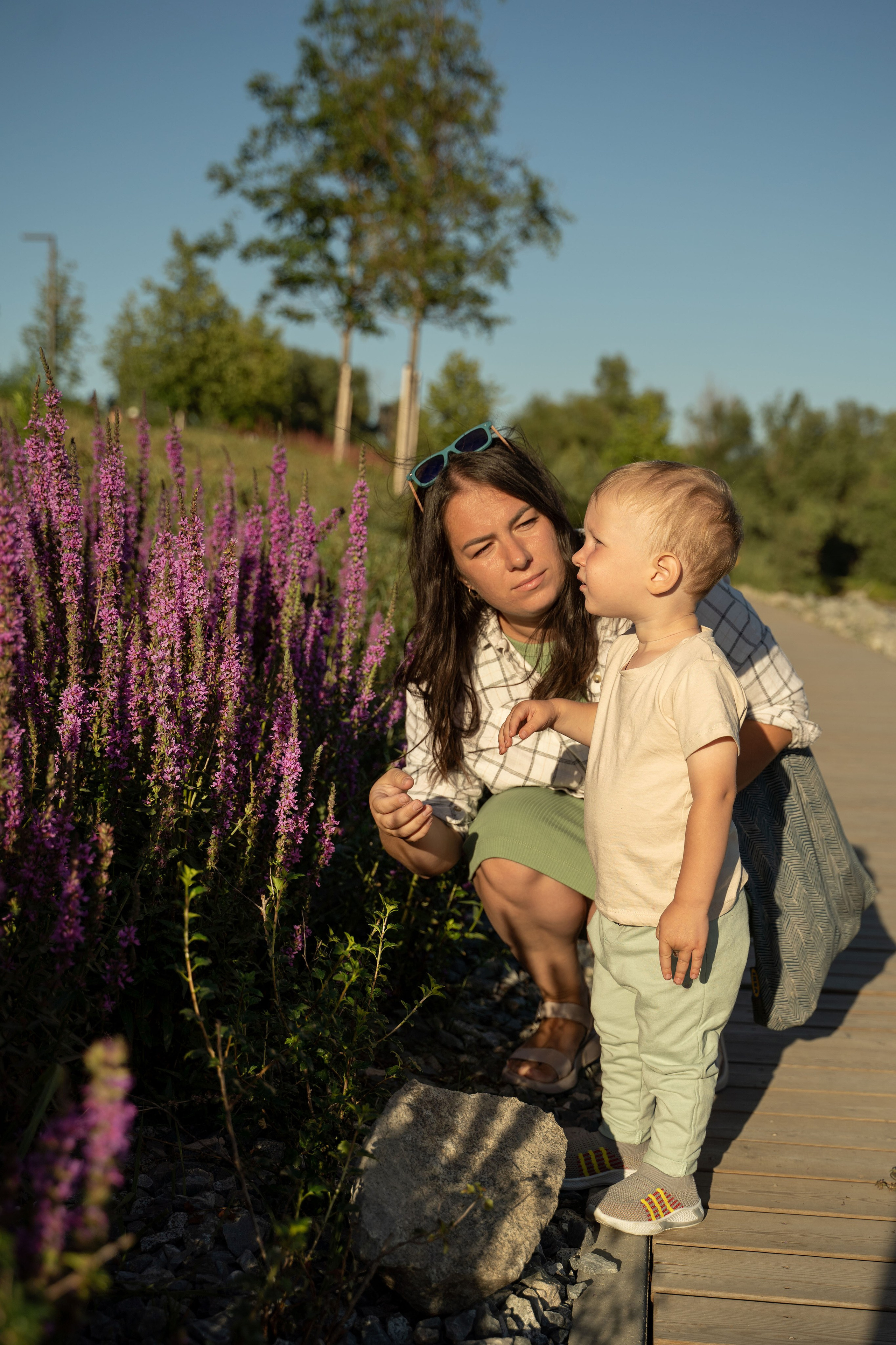 Семейная прогулка. Главная
