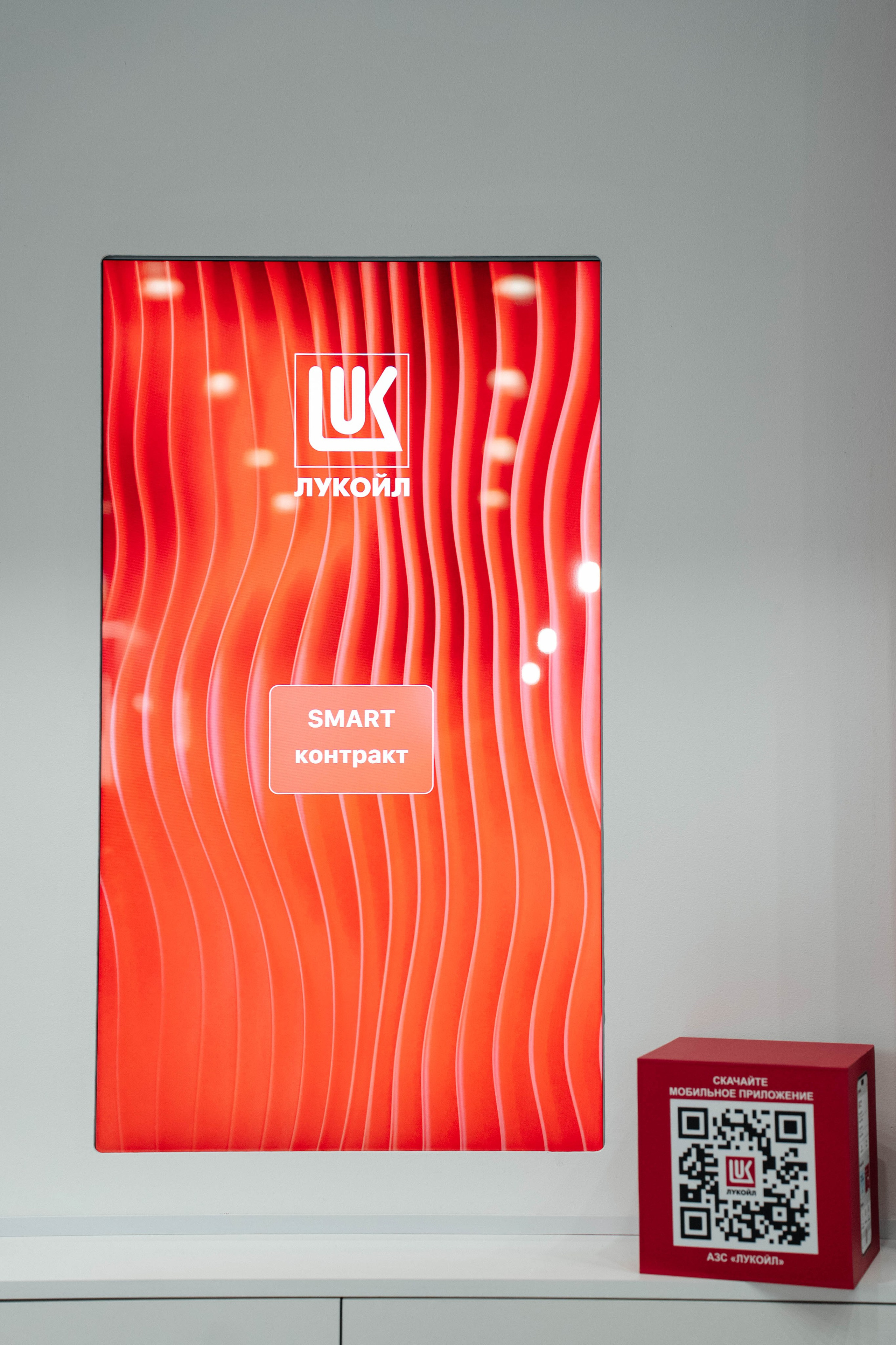 FINO POLIS|2023. Свадебный фотограф Москва Александра Аверкова