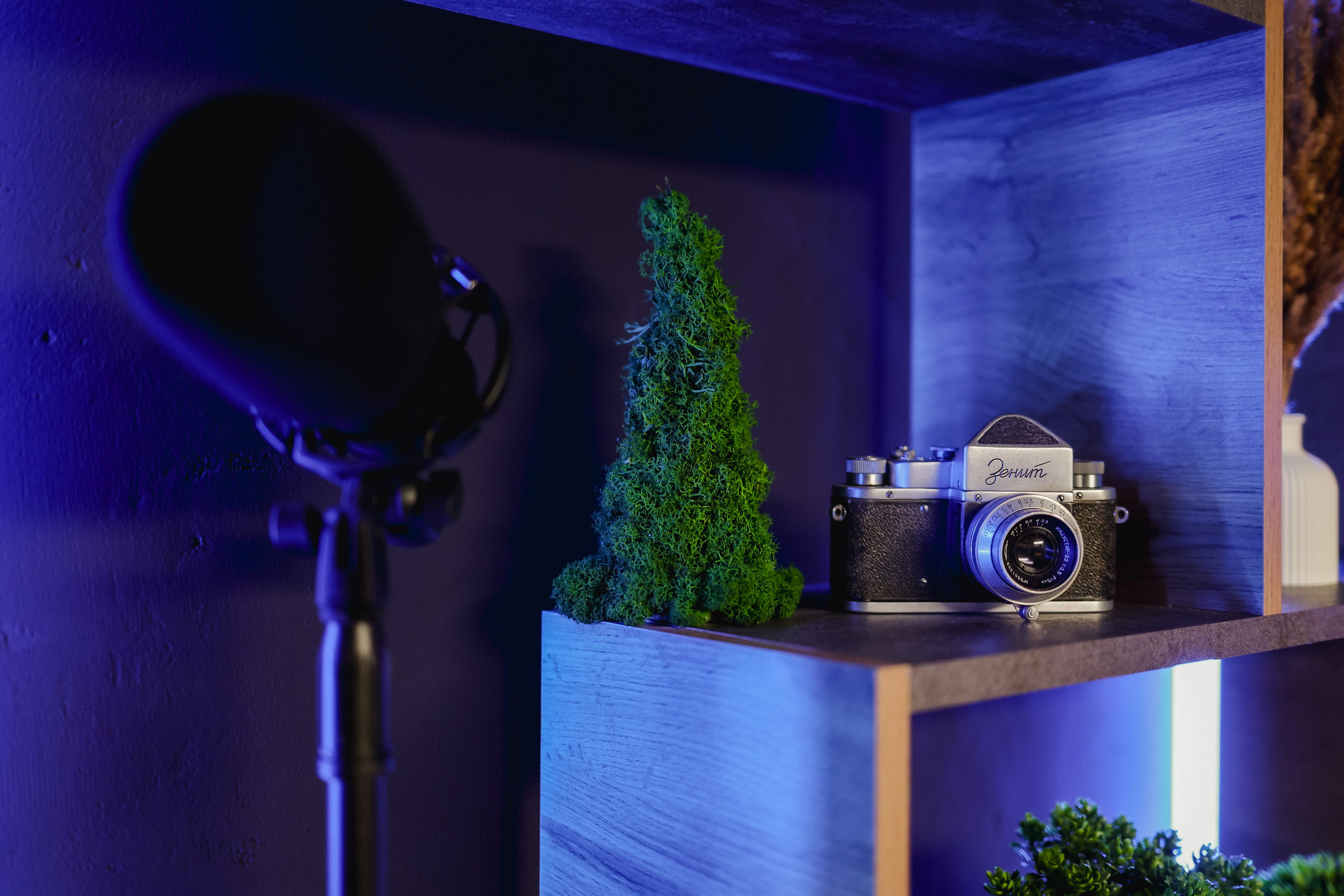 BLACK. Подкасты и прямые эфиры Сочи