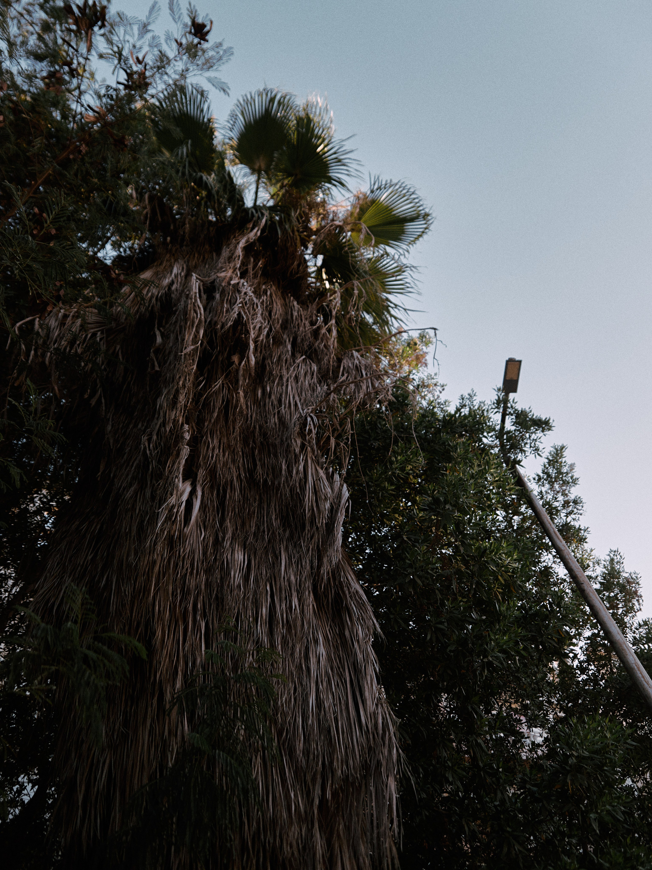 Диптих. Jorgis — фотограф в Хургаде / обучение фотографии