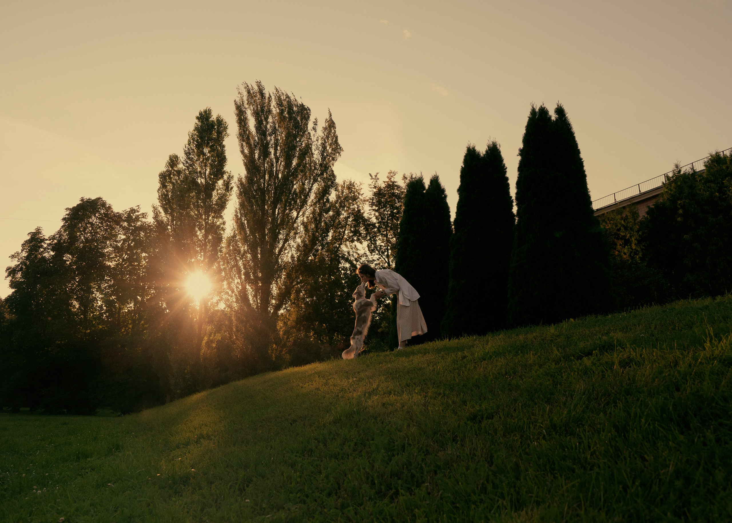 Вэй. Фотограф- анималист Александра Матвеева