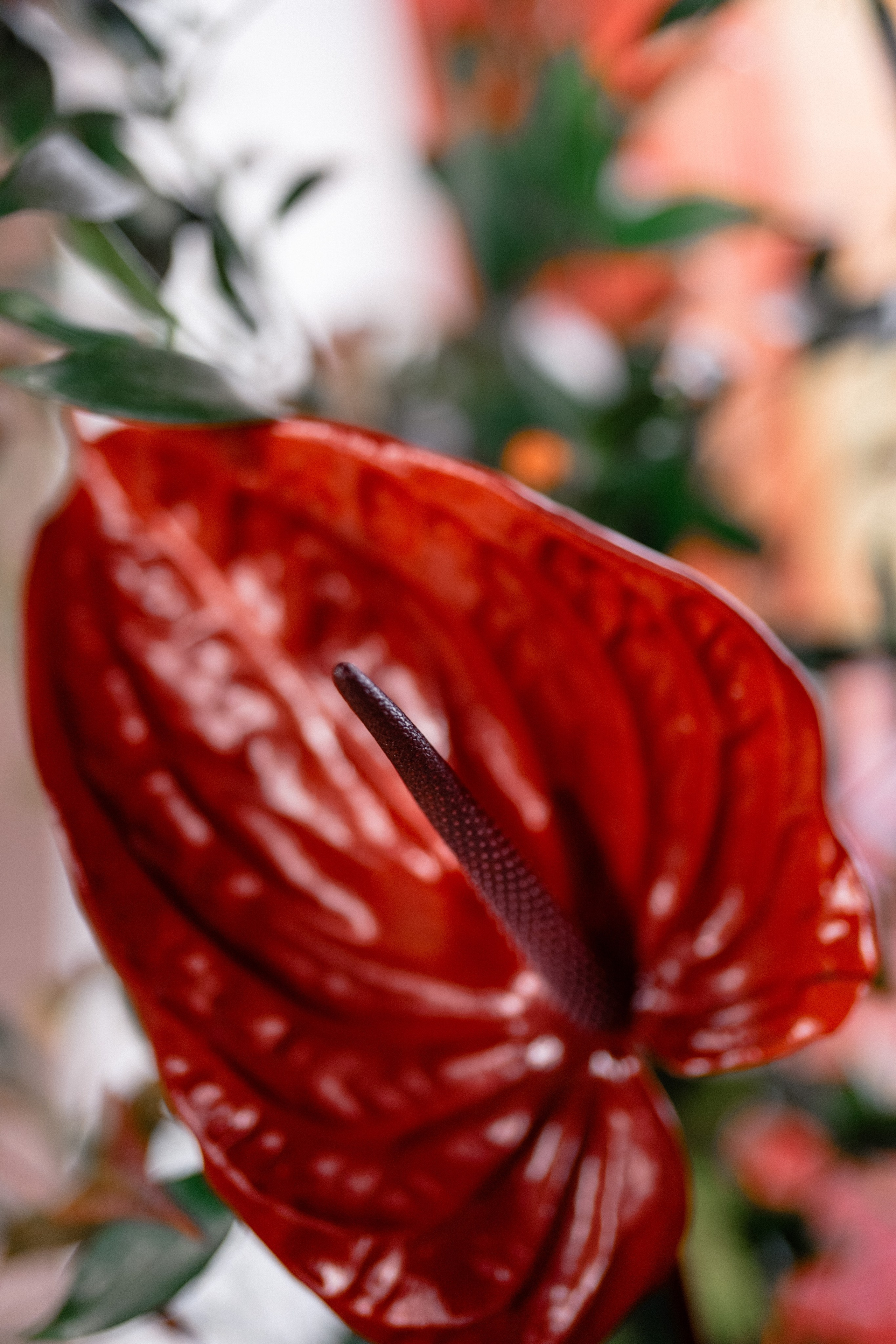 А+Л. Андрей Сухинин репортажный свадебный фотограф Санкт-Петербург