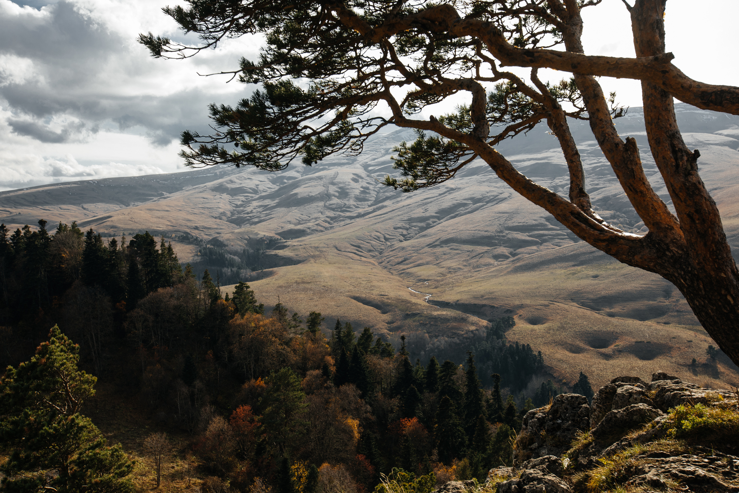 Адыгея, Лаго Наки, идеальная свадьба, свадьба в Ростове, Свадьба в Краснодаре, свадьба в Сочи, фотограф в сочи, фотограф в краснодаре, фотограф в ростове, фотограф в Таганроге, свадебный ведущий, организация свадьбы, фотограф москва , Фотограф на свадьбу в москве, фотограф на свадьбу в санкт петербурге, фотограф в италии, фотограф на Комо, Фотограф в Праге, фотограф во франции, фотограф в Дубае, фотограф в Португалии, Фотограф на сейшеалах, фотограф Бали
