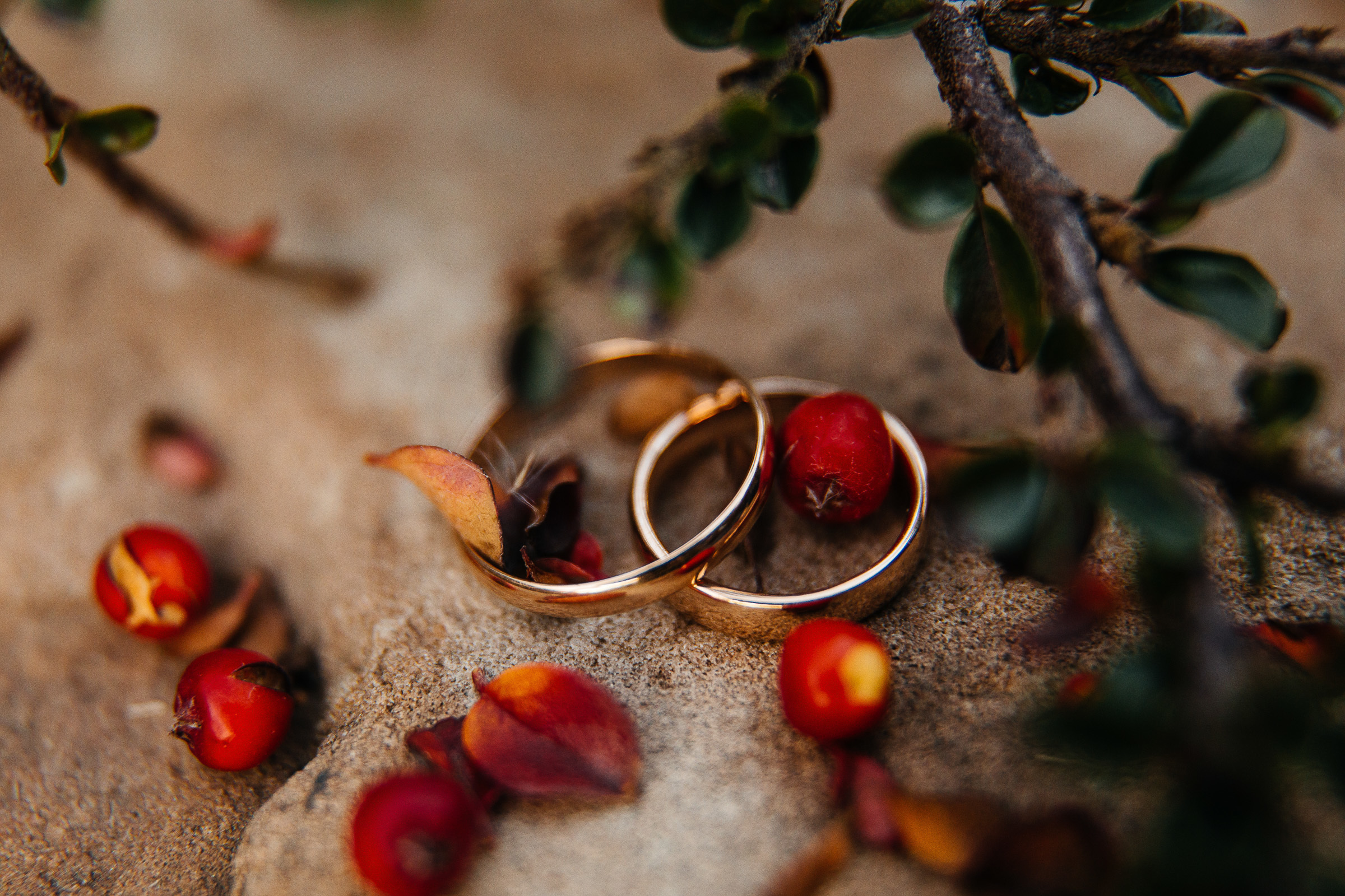 Утро невесты, идеальная свадьба, свадьба в Ростове, Свадьба в Краснодаре, свадьба в Сочи, фотограф в сочи, фотограф в краснодаре, фотограф в ростове, фотограф в Таганроге, свадебный ведущий, организация свадьбы, фотограф москва , Фотограф на свадьбу в москве, фотограф на свадьбу в санкт петербурге, фотограф в италии, фотограф на Комо, Фотограф в Праге, фотограф во франции, фотограф в Дубае, фотограф в Португалии, Фотограф на сейшеалах, фотограф Бали