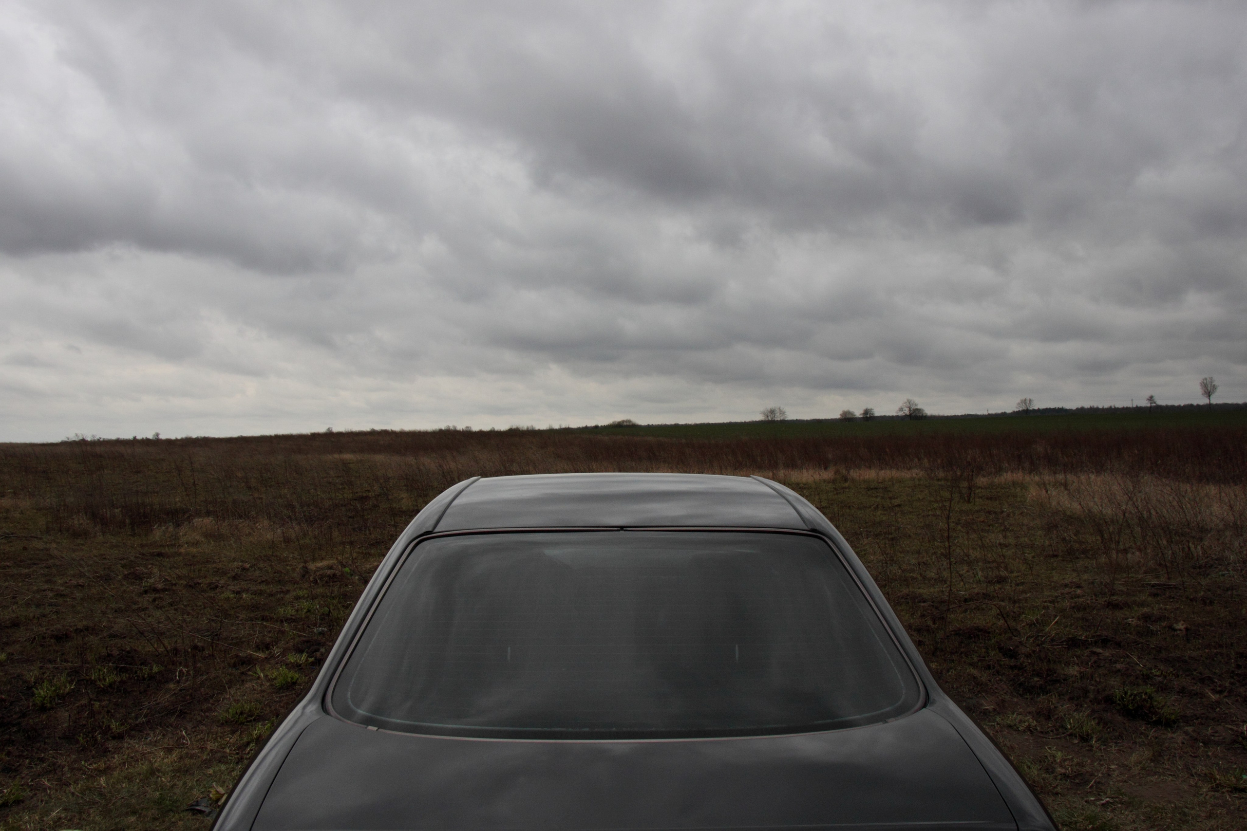 Ареал обитания. Фотографии Саши Любина