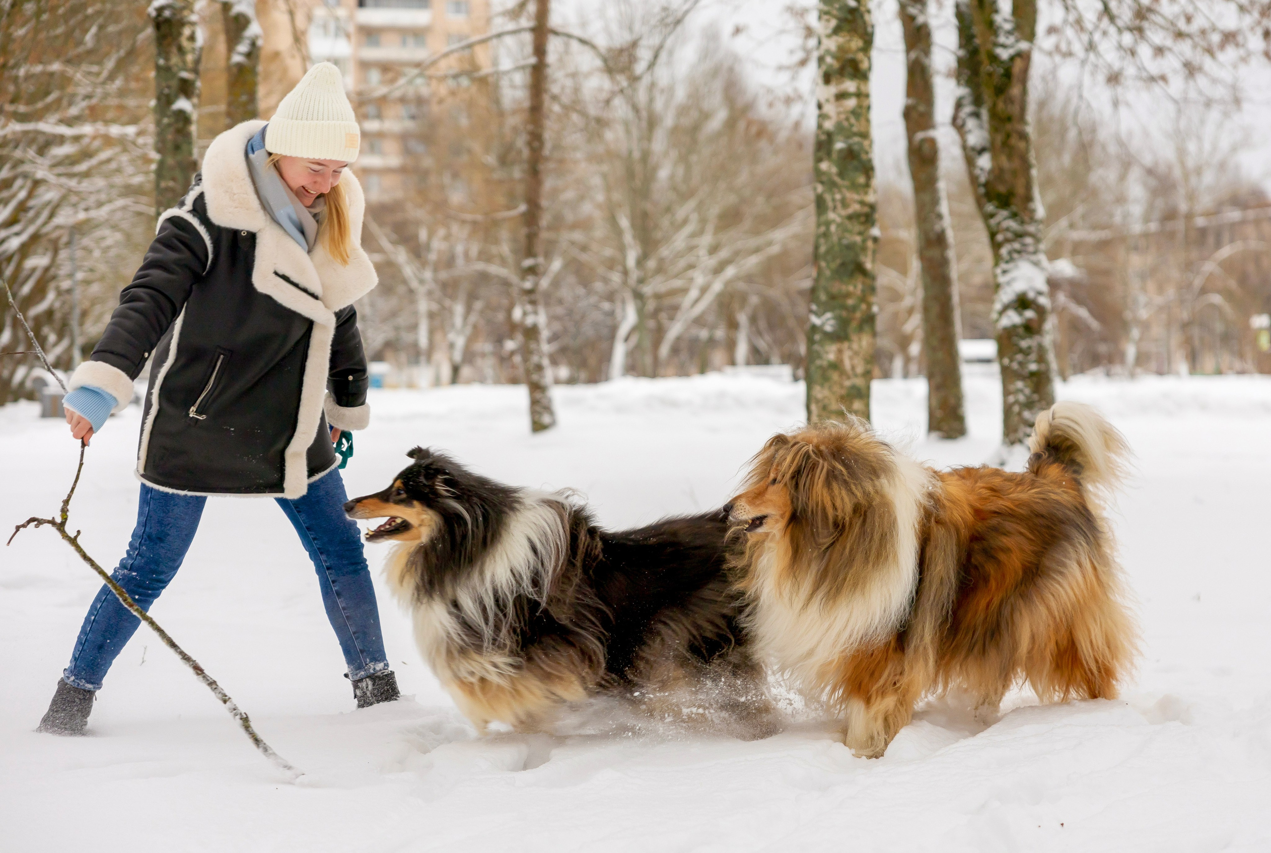 Съемка с питомцем. Фотограф Люся Воробьева