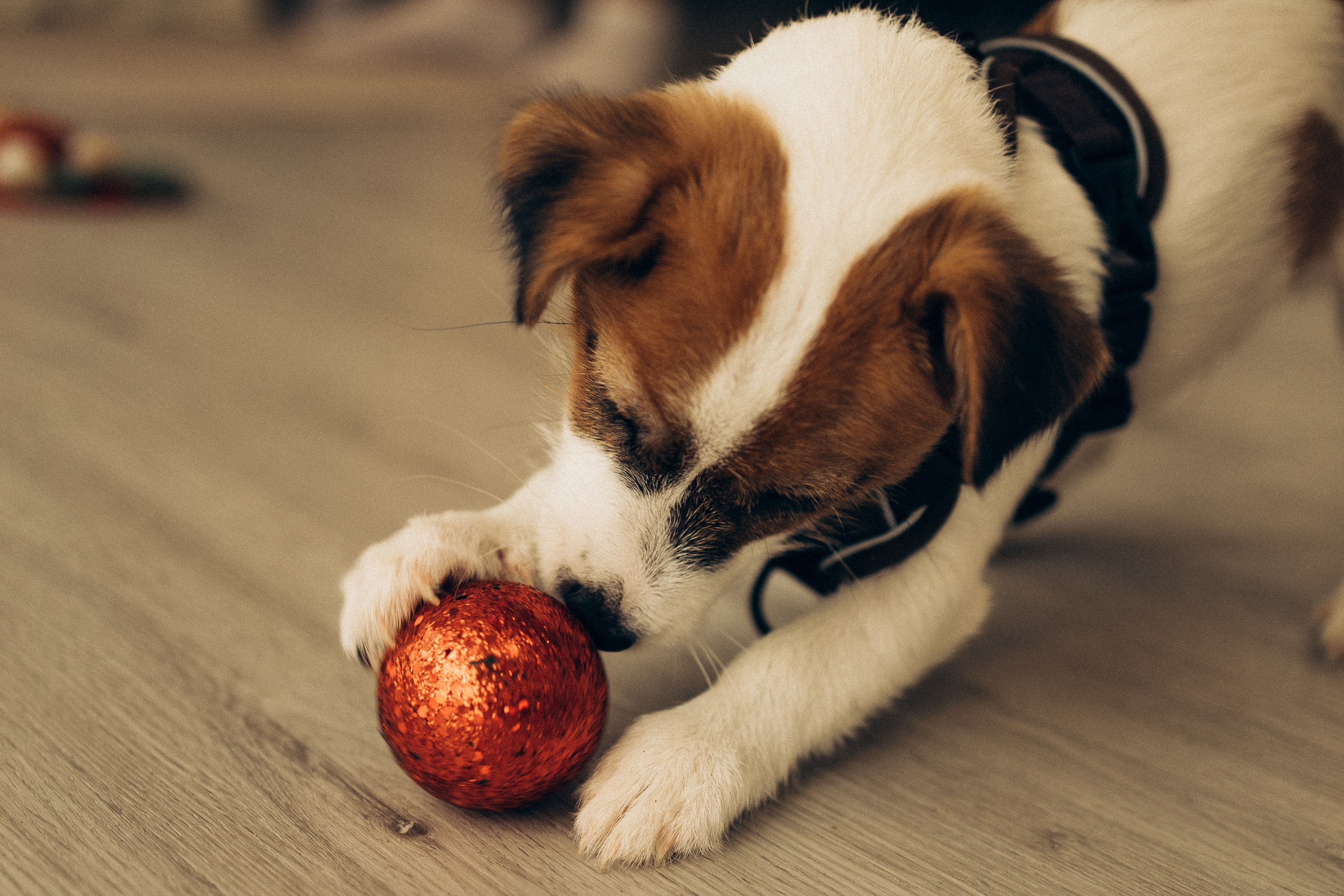 Новогодняя домашняя фотосессия в Ижевске