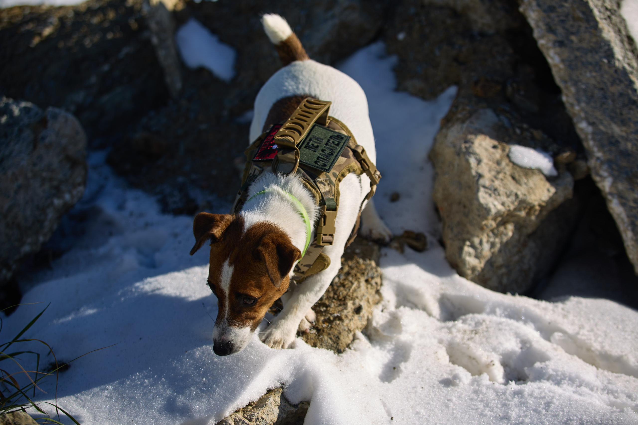 Лети Спасатель. Buyvolenko Andrey