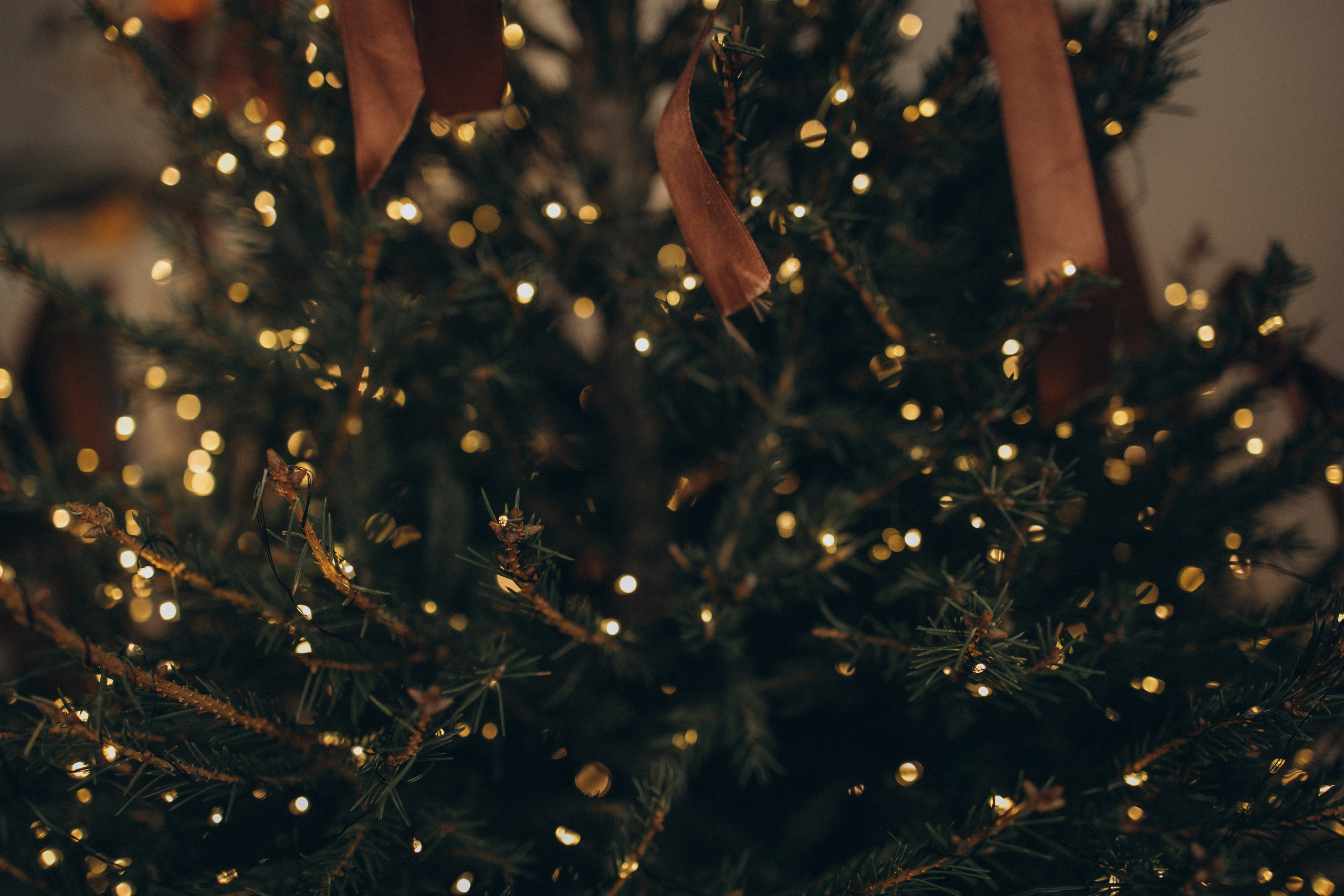 Мама всегда рядом. Фотокарточки о вас и о большой любви!