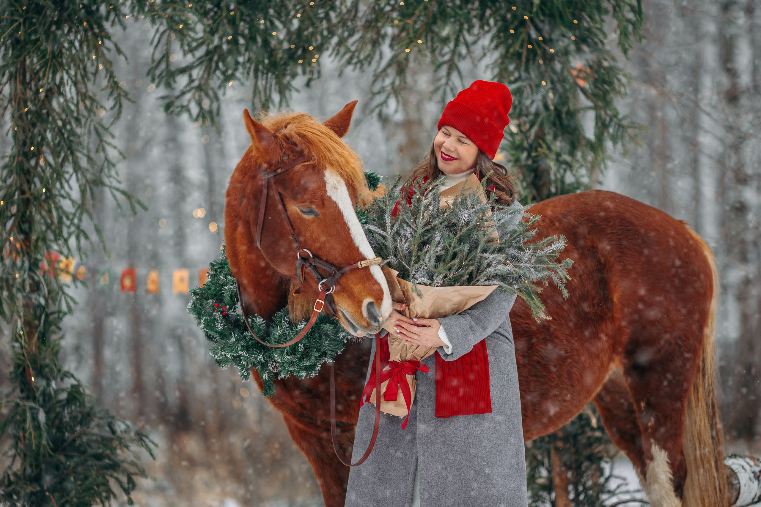 Тариф Новогодний 2025-2026. Анна Молчанова конный фотограф в Тюмени | фотосессии с лошадьми Тюмень