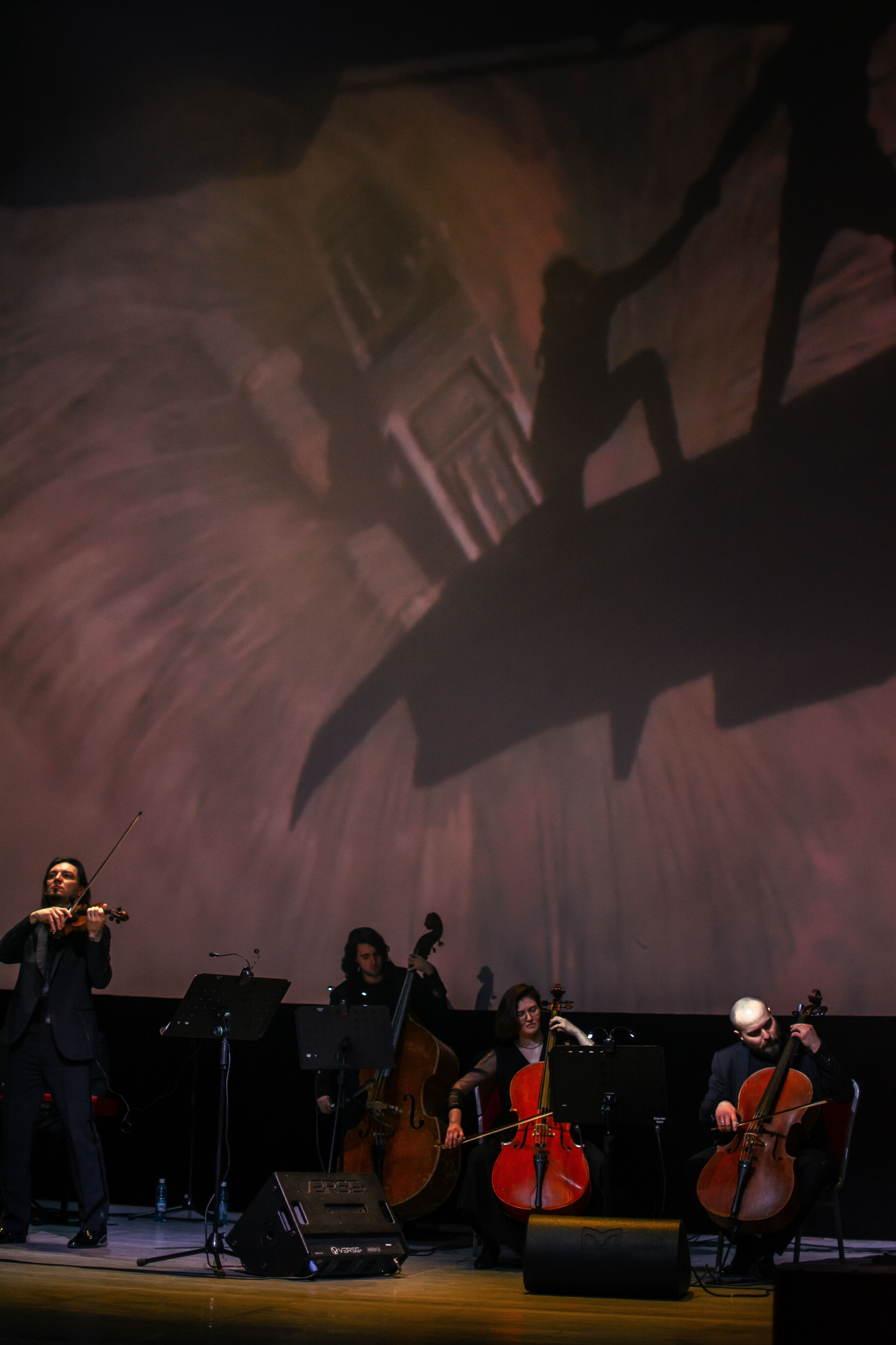 Концерт оркестра Cinematica. Репортажный фотограф в Новосибирске