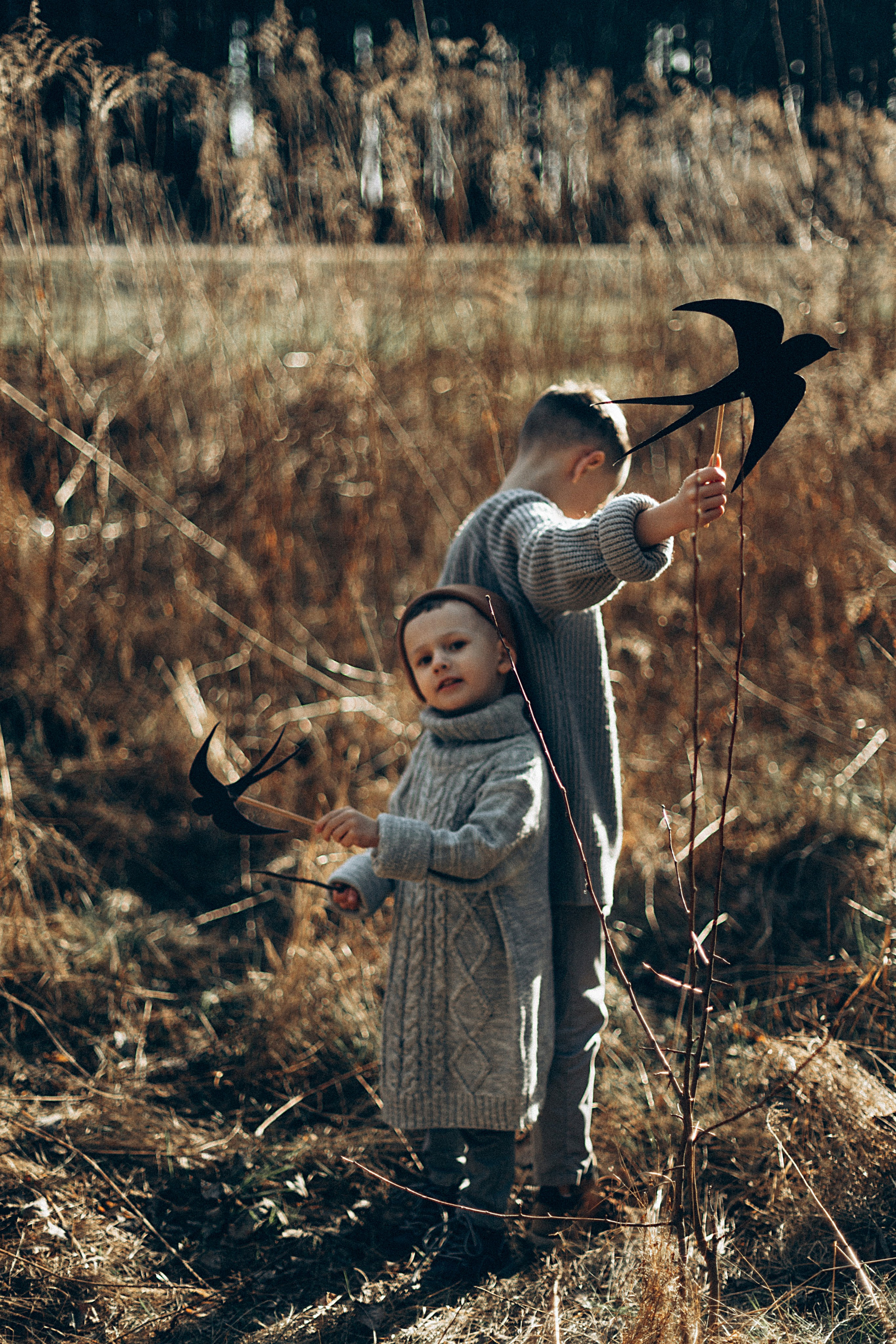 Птицы-самолеты. Репортажный и детский фотограф в Минске