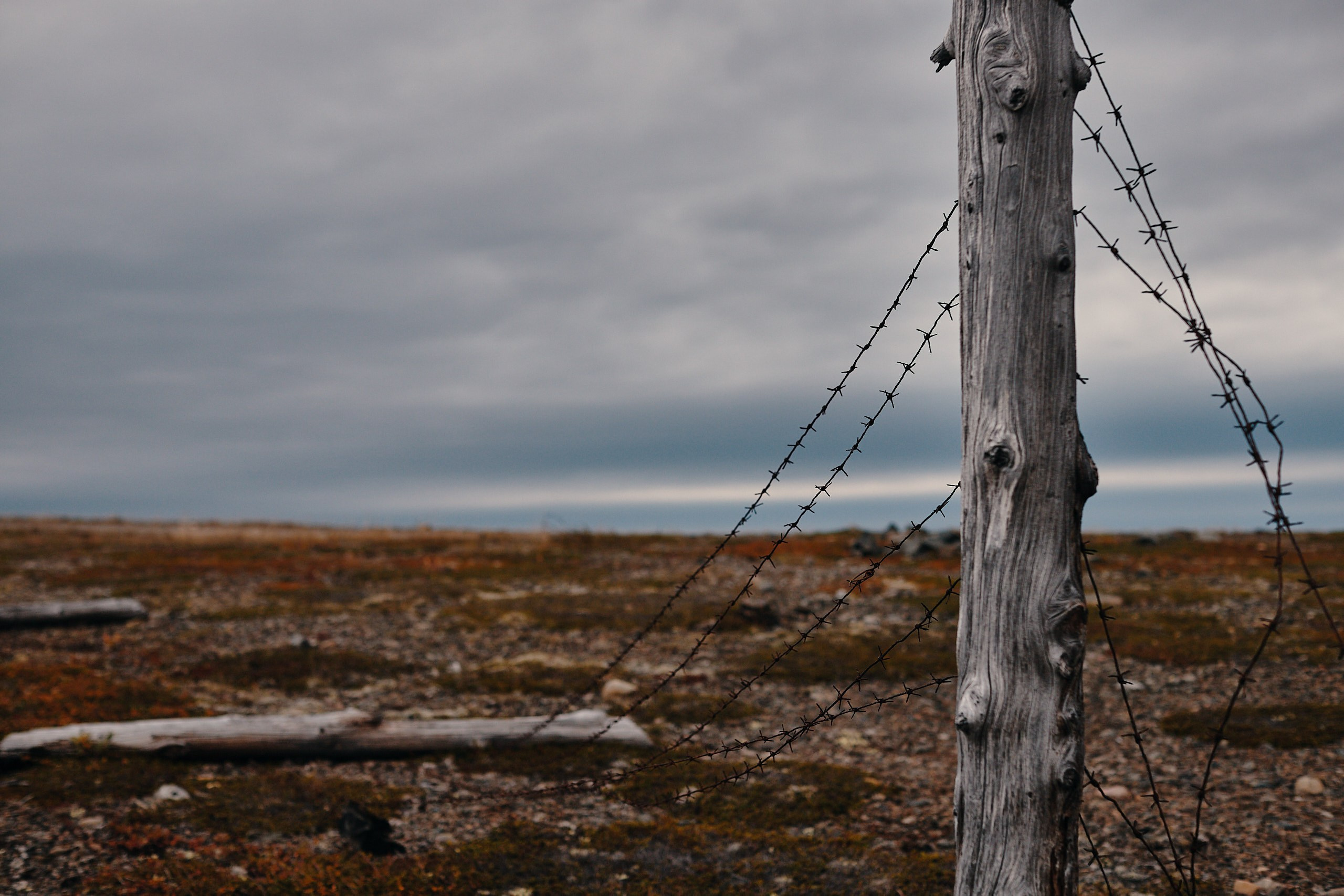 Рыбачий 2023. Место силы. Фотограф Валерий Сабрам