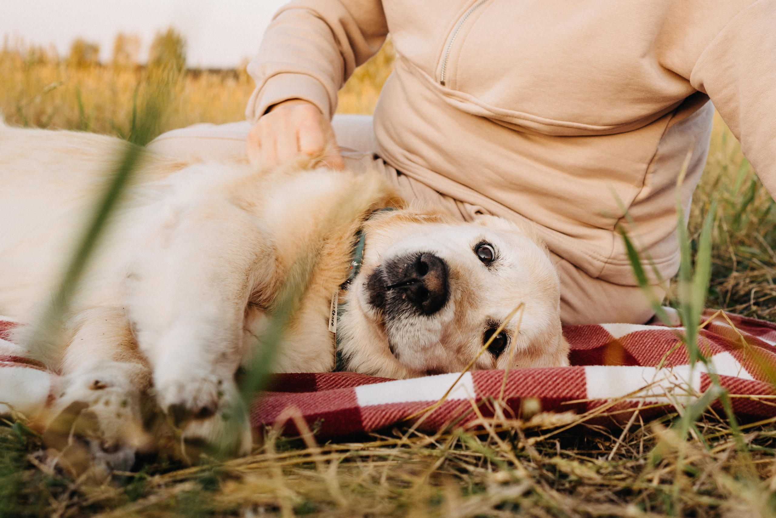 Дарья, Люба и Ред. Фотограф-анималист Анастасия Большакова