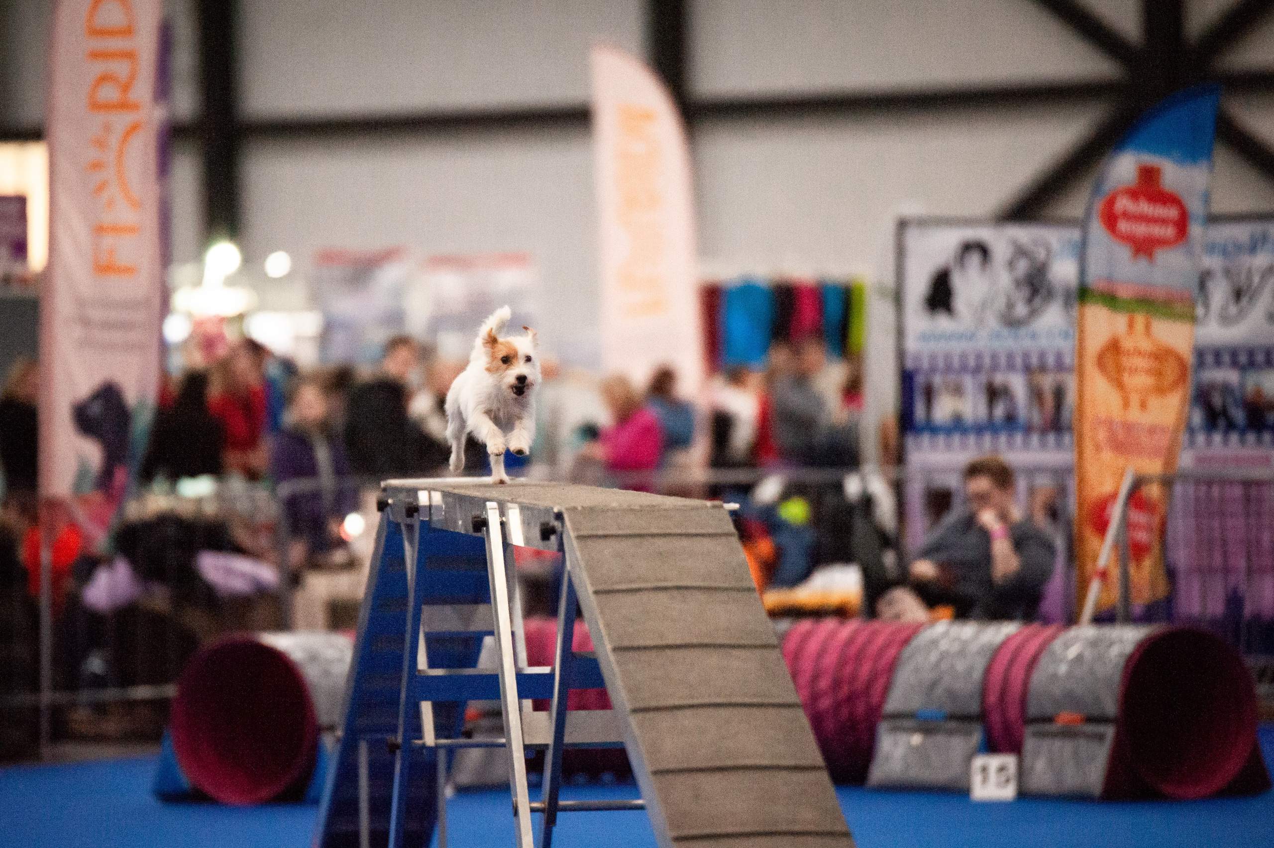 Спорт. Танцевальный фотограф Анна Берзина, Санкт-Петербург