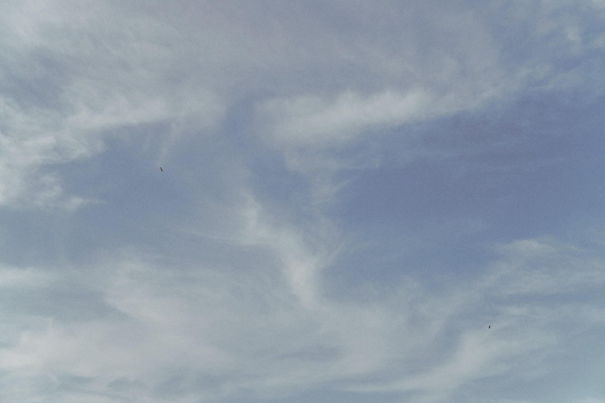 Улица горизонтальная. Jorgis — фотограф в Хургаде / обучение фотографии