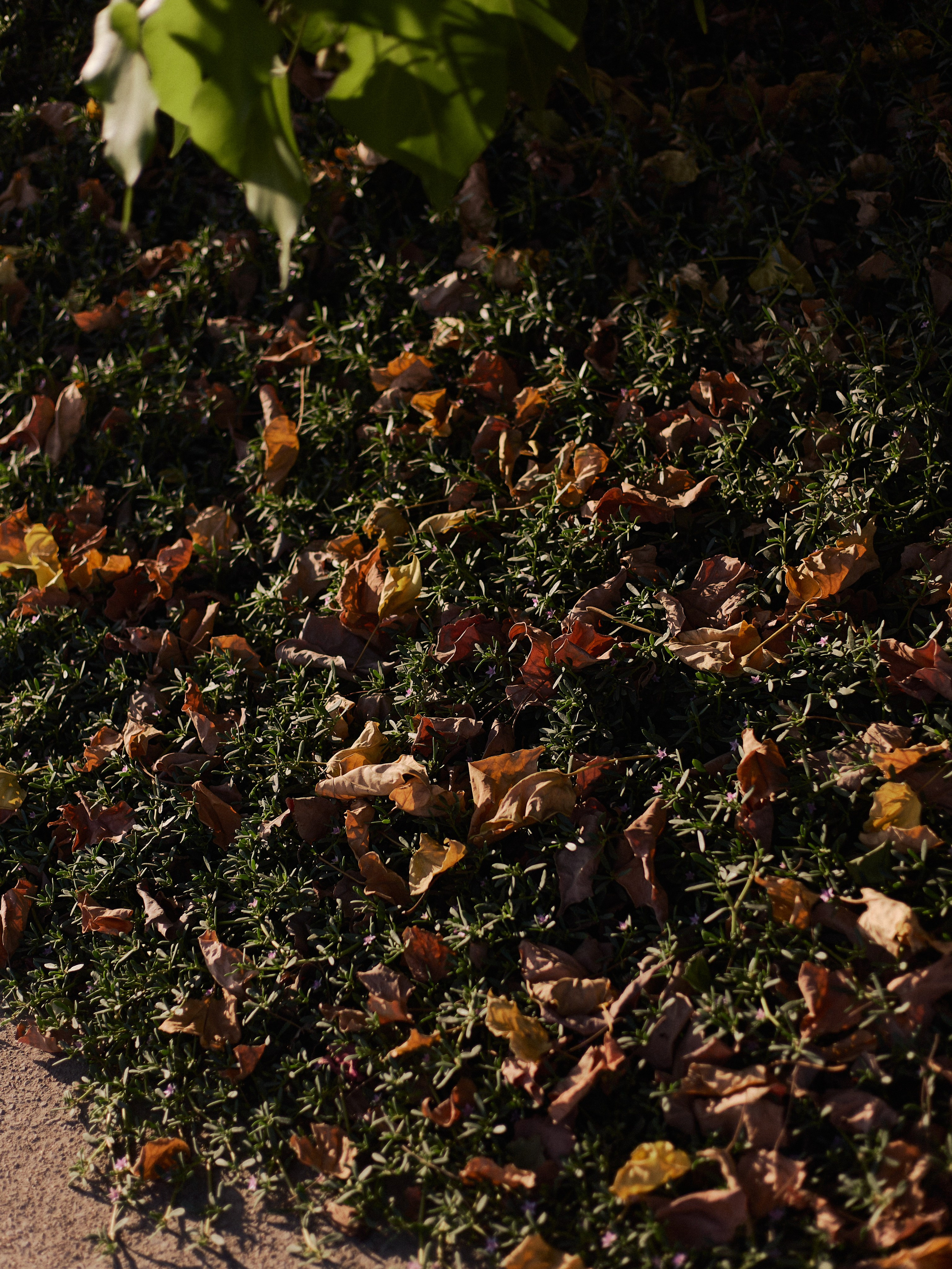 Другое 3. Jorgis Talè — photographer, kind person, teacher of arts and other mag