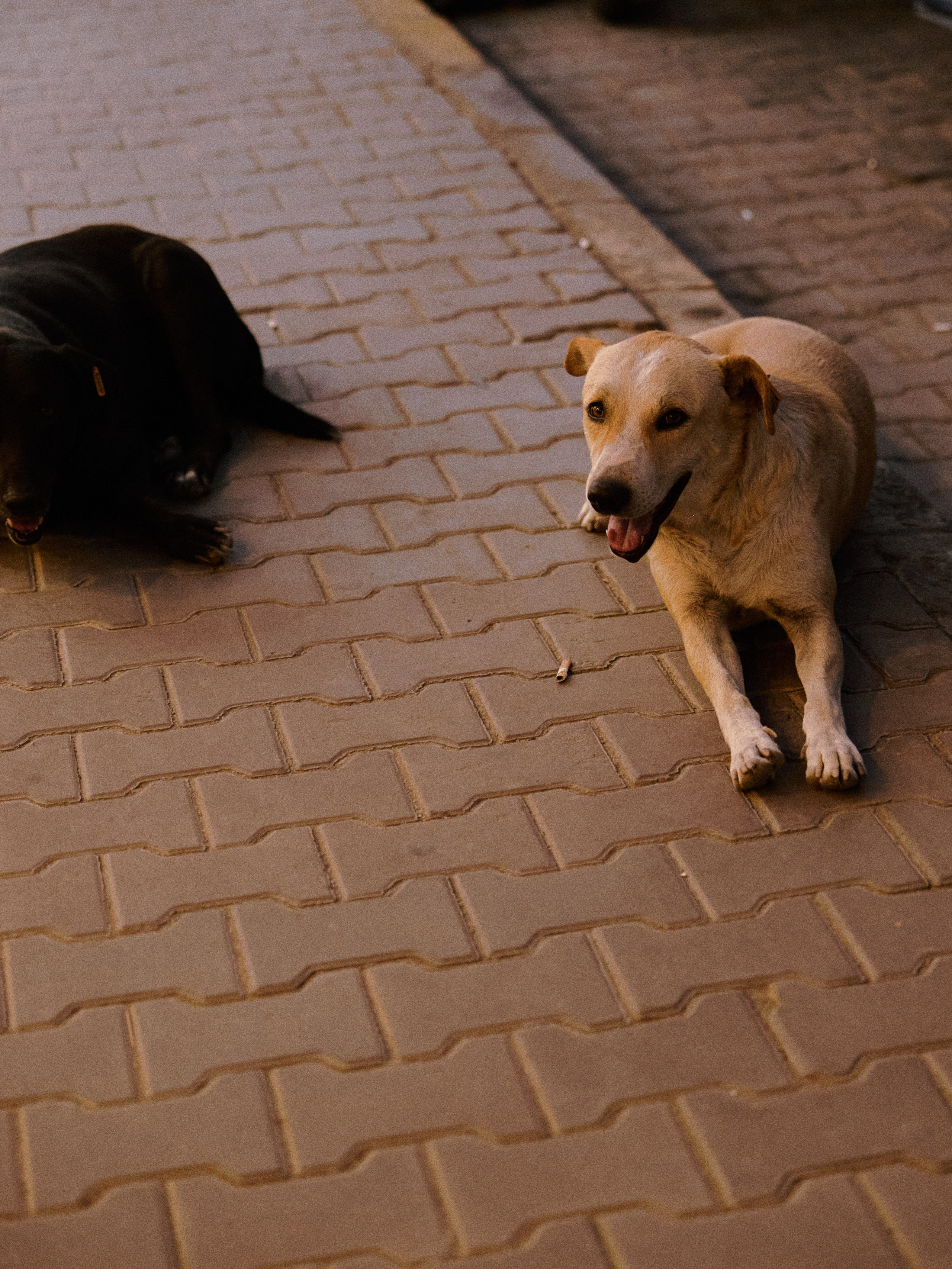 Другое 2. Jorgis Talè — photographer, kind person, teacher of arts and other mag