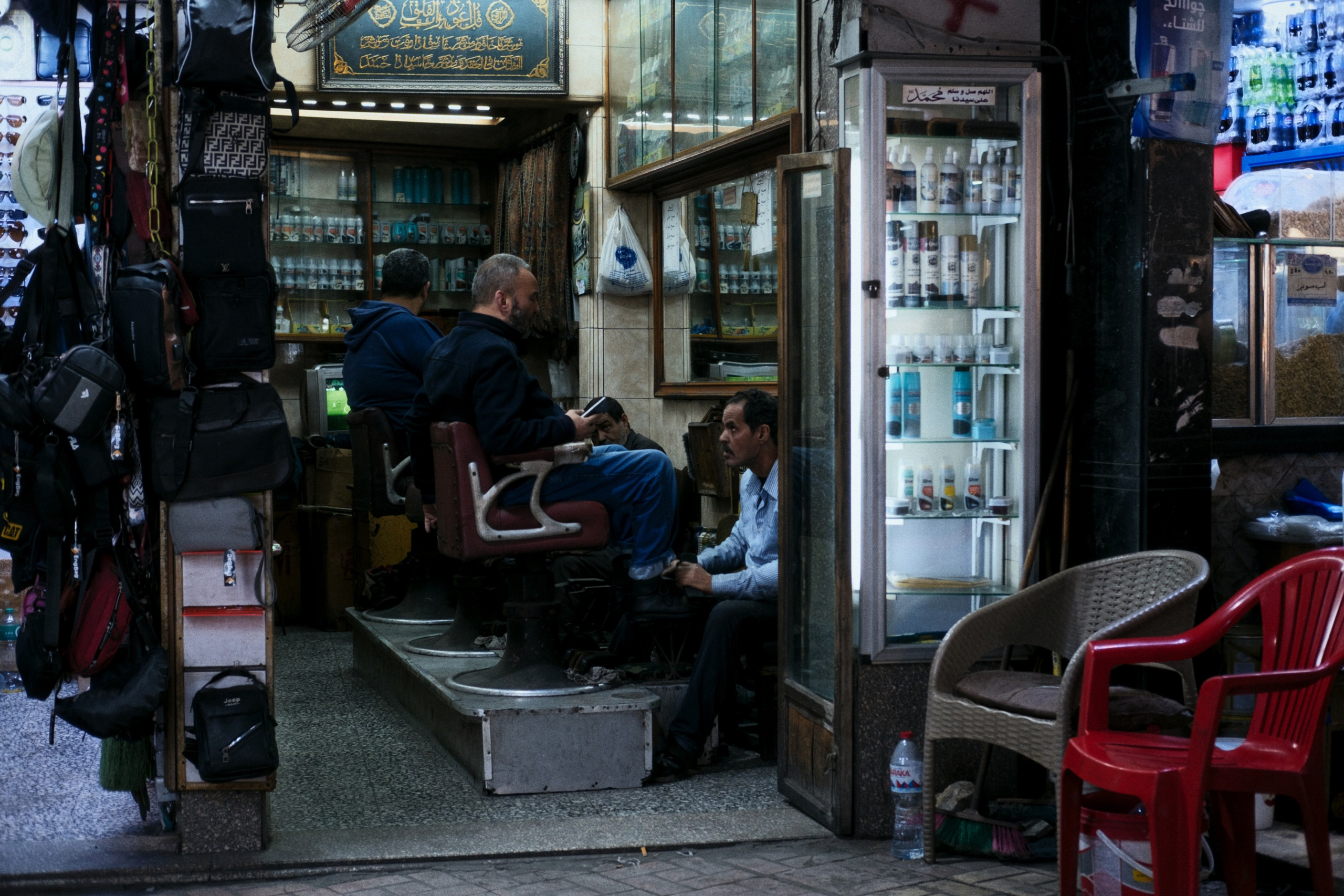 Alexandria / Egypt AW25. Фотограф Юрин Евгений