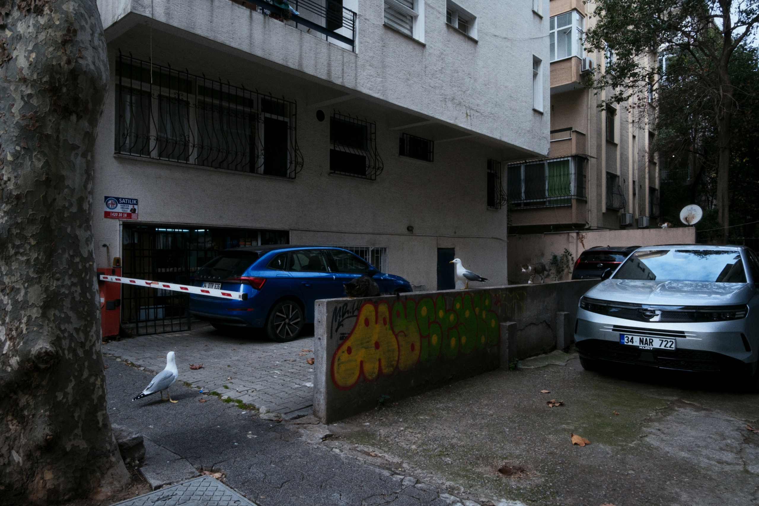 Kadikoy x Moda, Istanbul / Türkey AW25. Фотограф Юрин Евгений