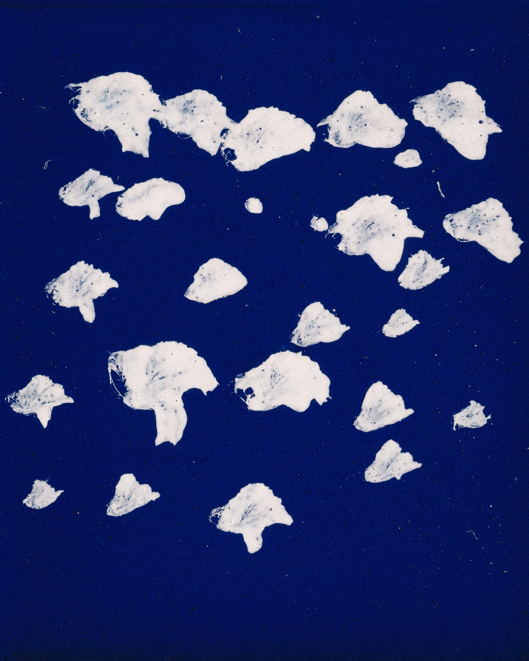 69 — CHA. Ivan Petrov photographer