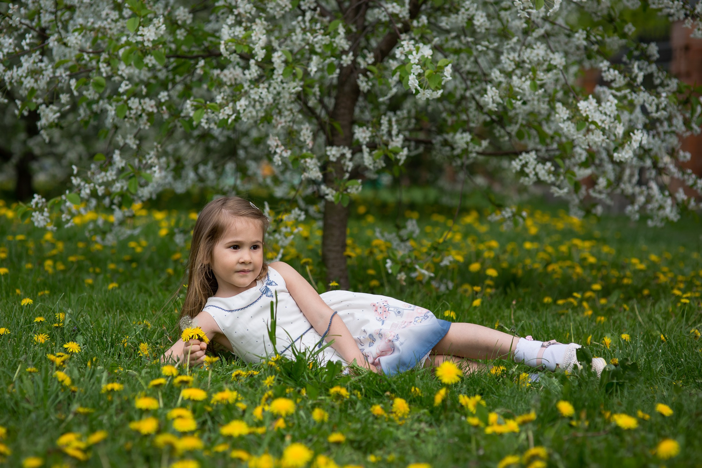 Цветущие сады. Свадебная фотосъёмка в Москве, Туле