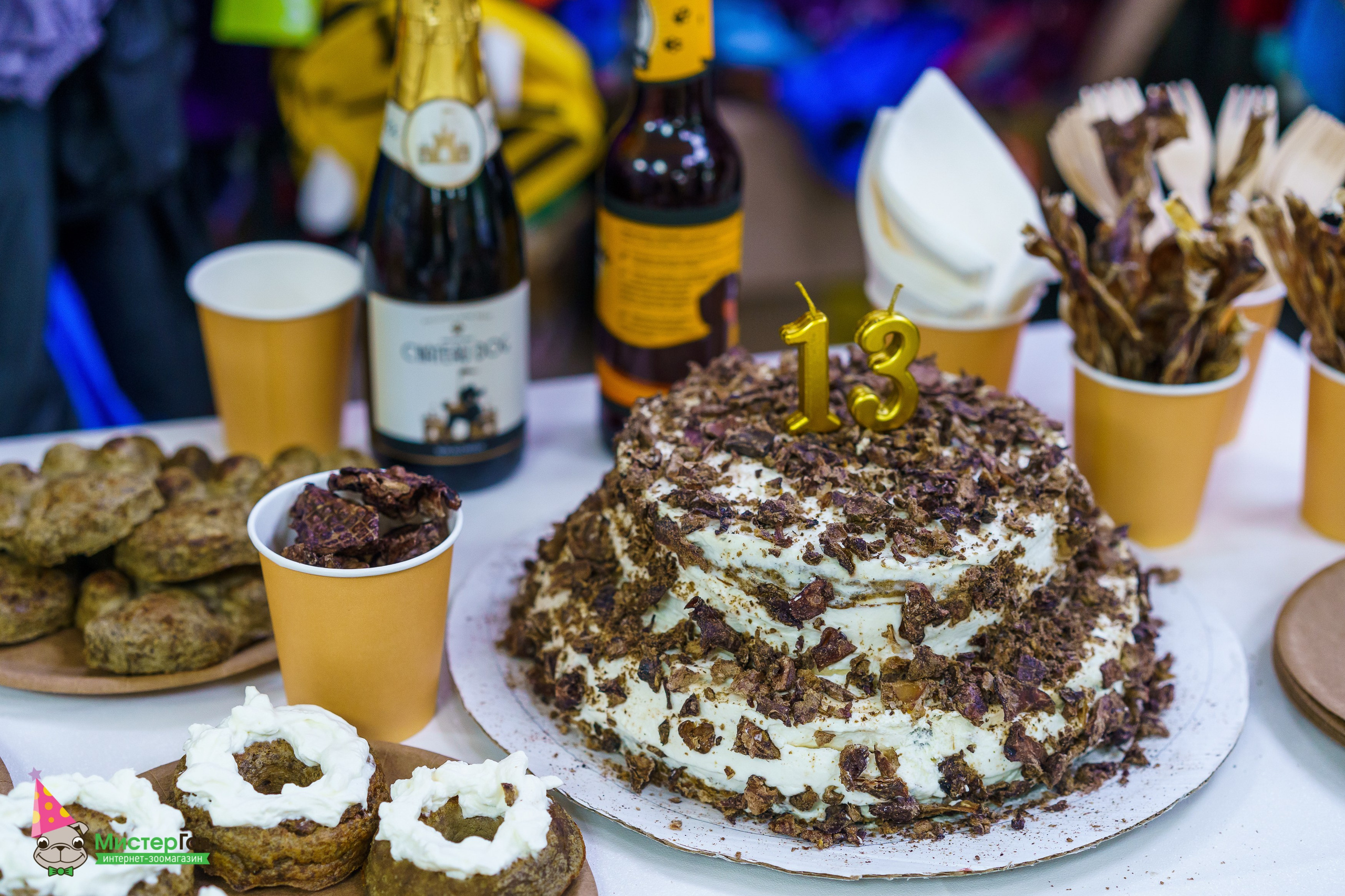 Мистер Гав -13 лет!. Фотограф Челябинск · Ольга Серебрякова