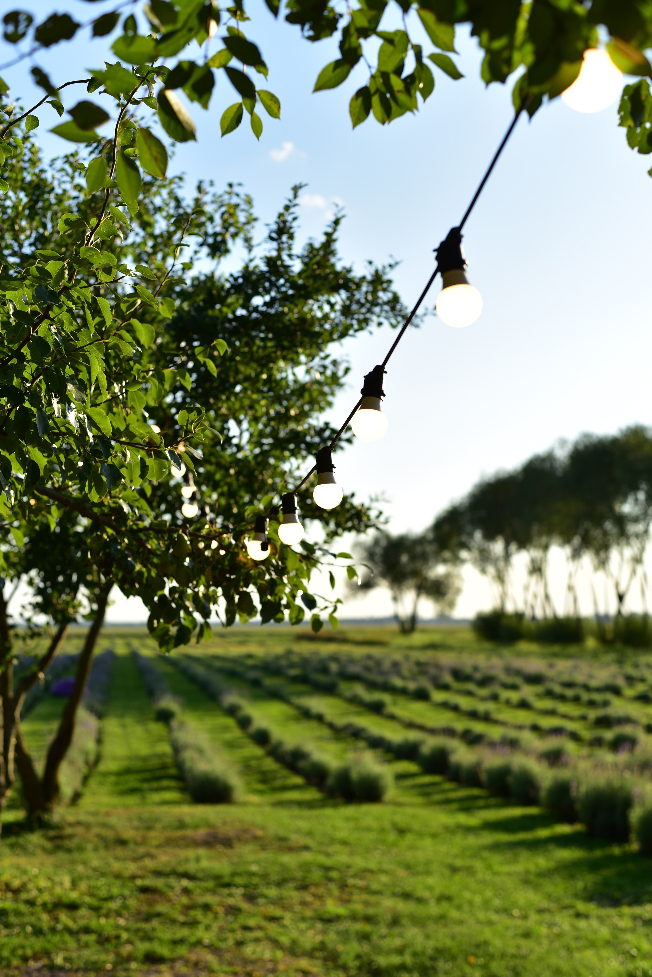 Наталья и Владимир. Свадебный и семейный фотограф в Воронеже Ксения Воротникова