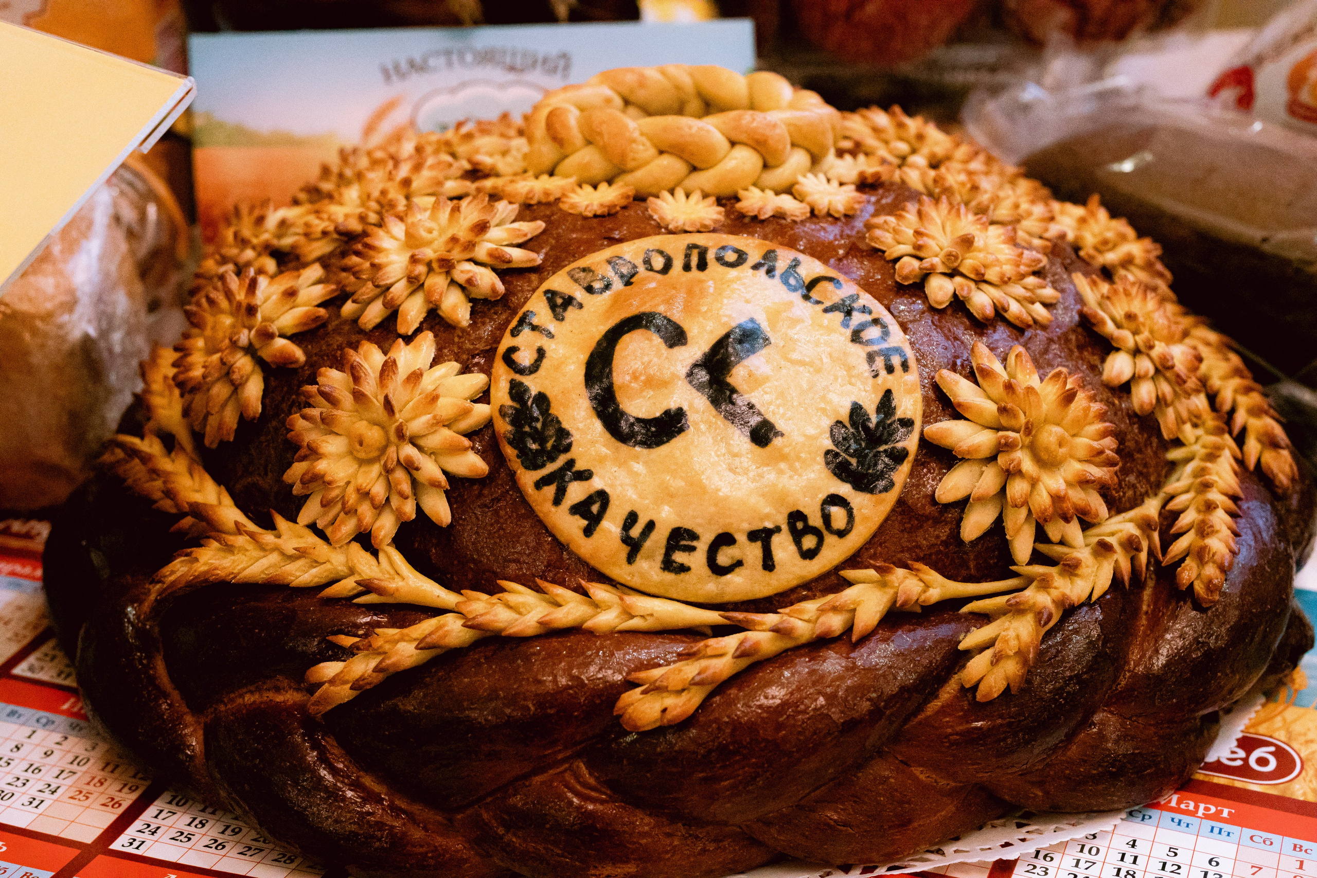 СК 2026. Портретный, семейный и репортажный фотограф в Ставрополе Ульяна Доценко