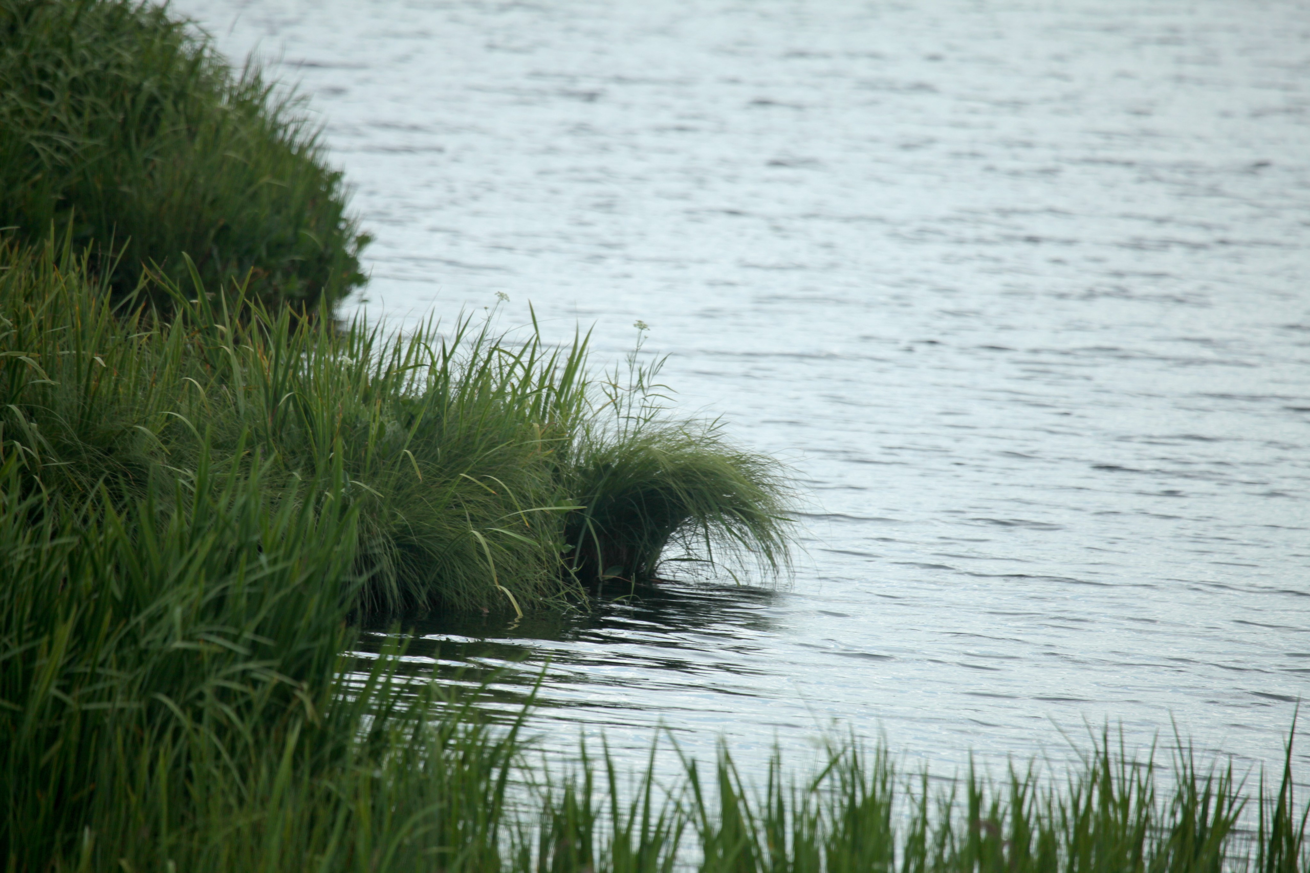 Фото Природы Забайкалья. Студия Максима Белослюдцева
